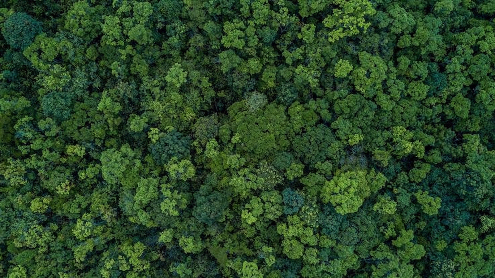 现代草地纹理贴图下载【ID:1198884810】