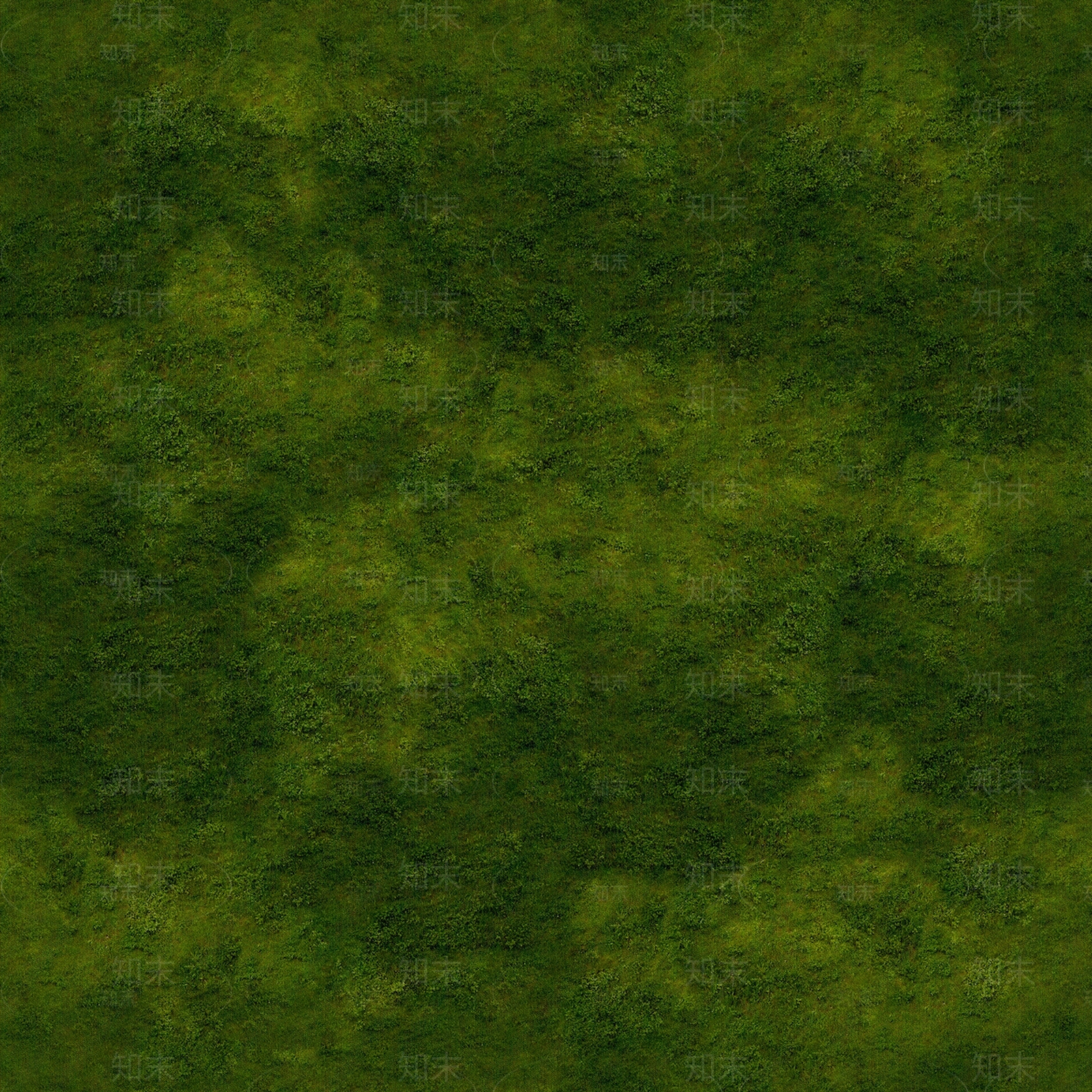 现代草地纹理贴图下载【ID:1198889066】