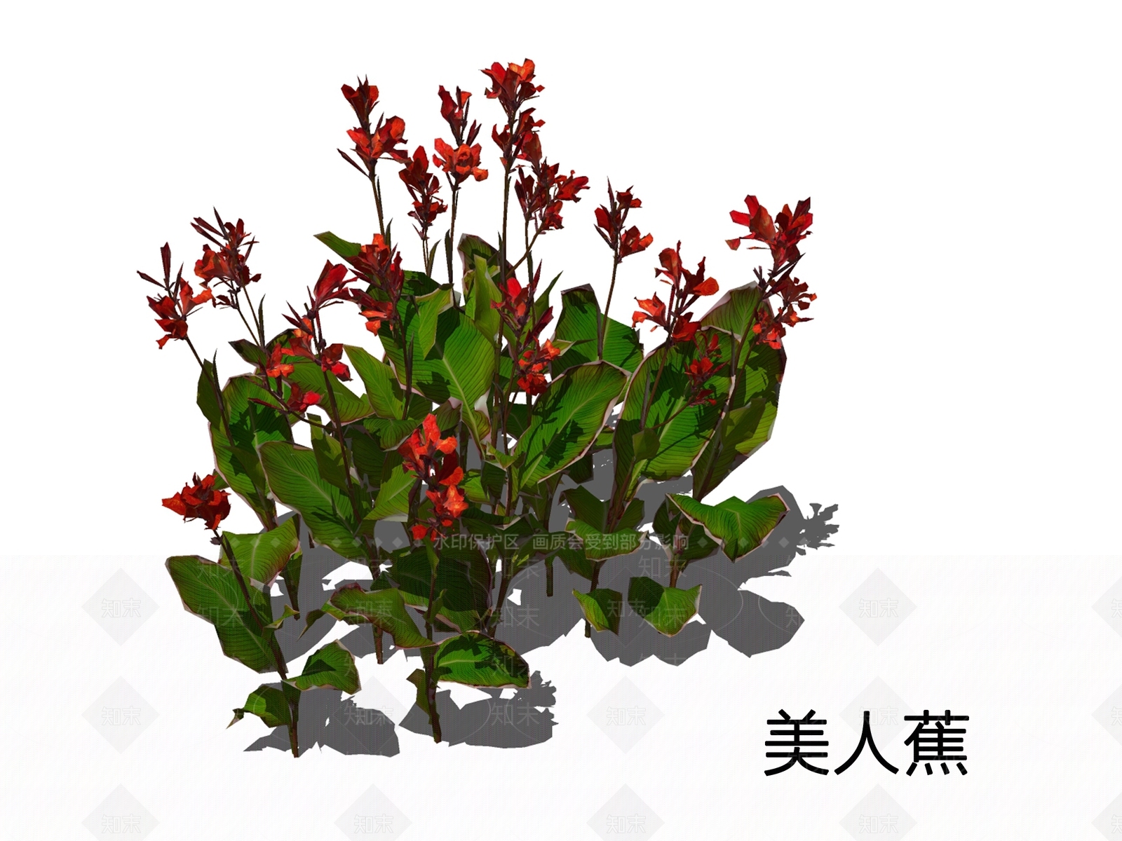 现代草本植物SU模型草图