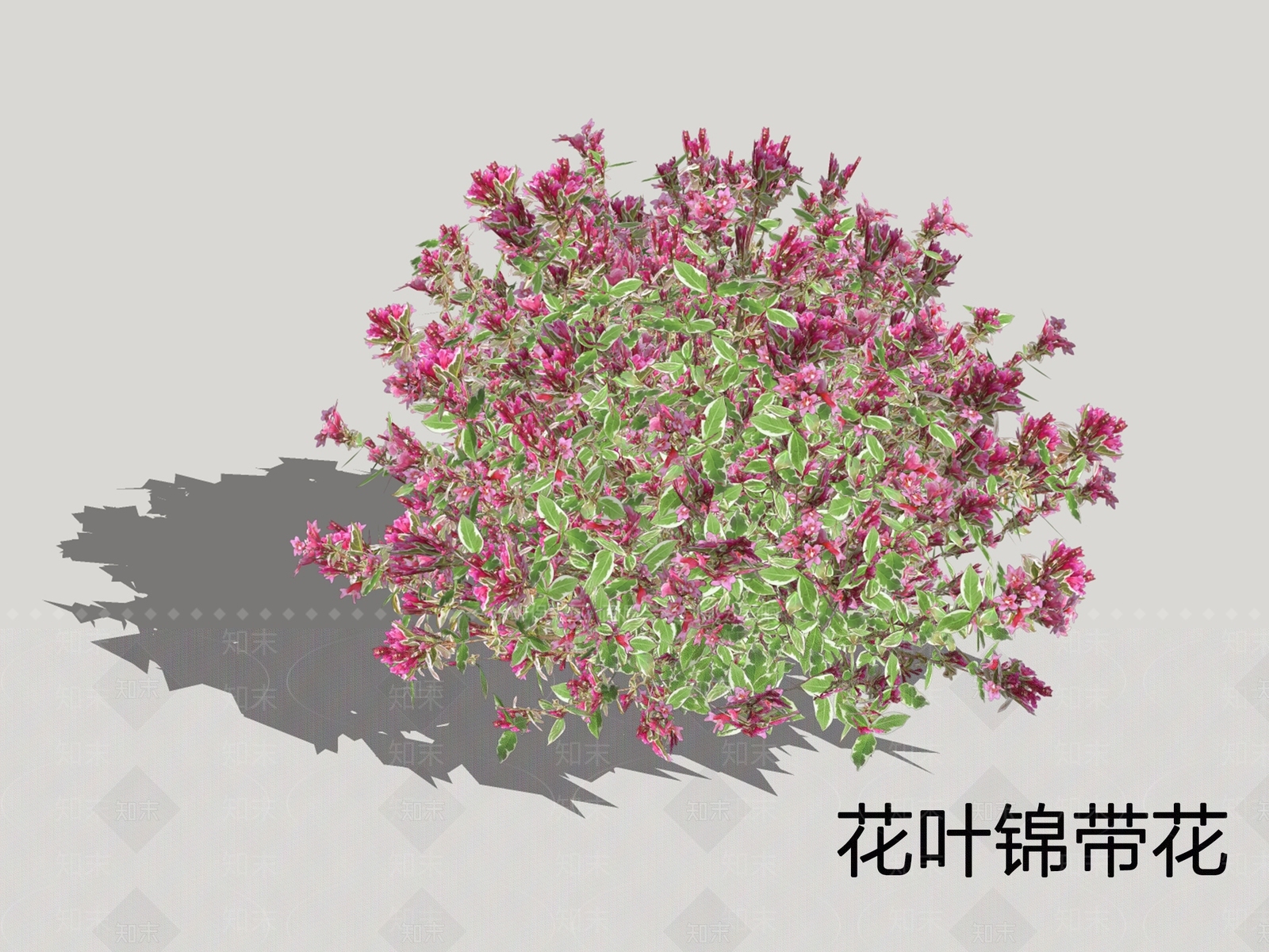 灌木SU模型下载【ID:1198891067】