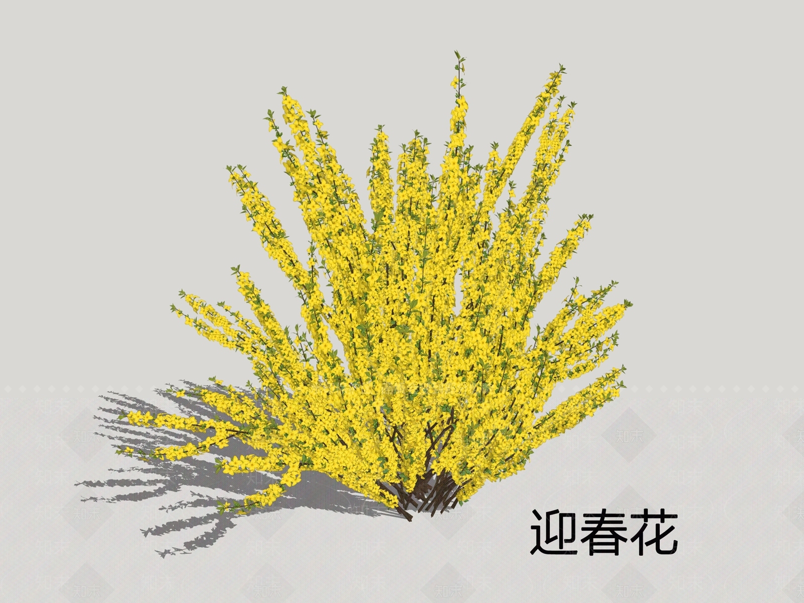 灌木SU模型下载【ID:1198892221】