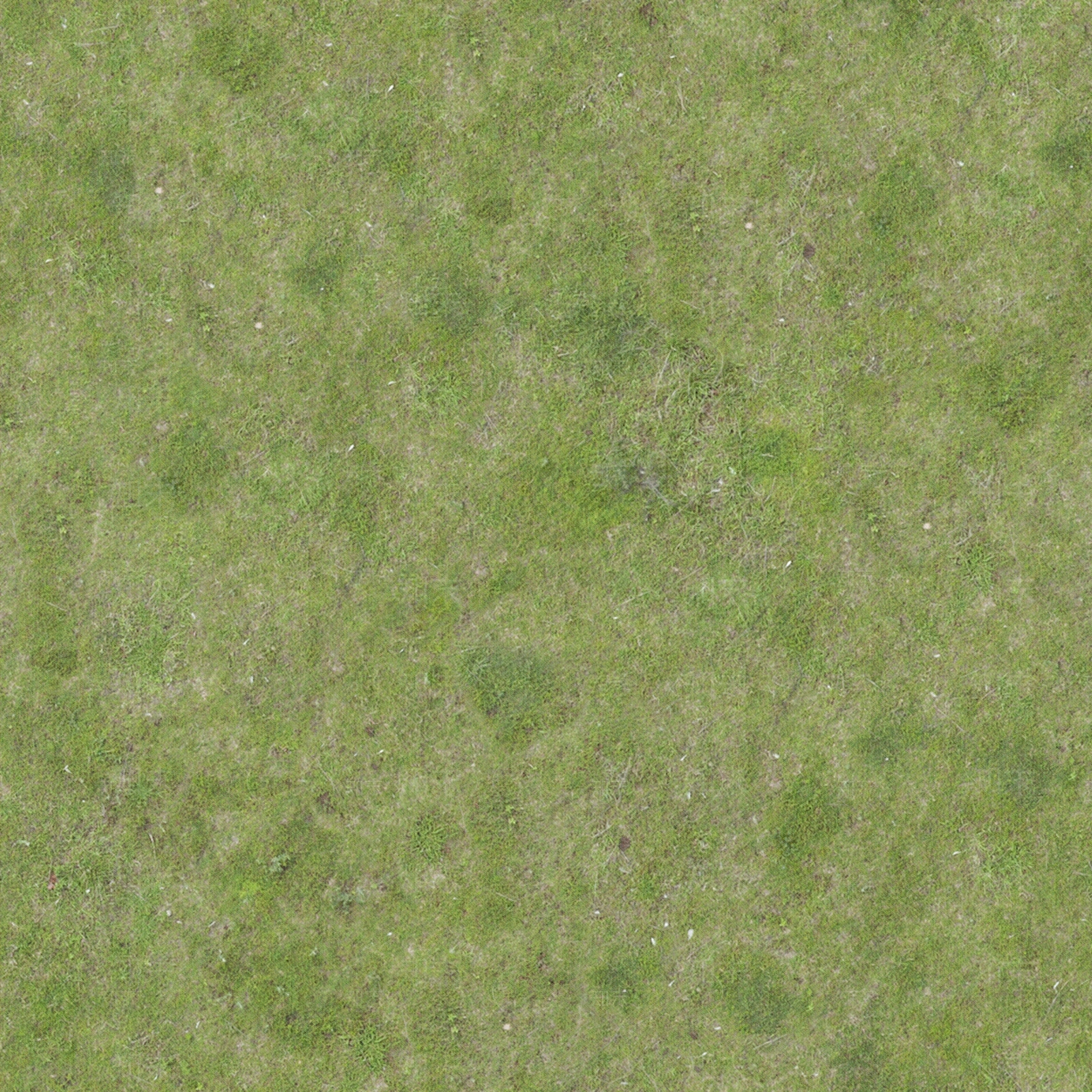 现代草地纹理贴图下载【ID:1198896548】