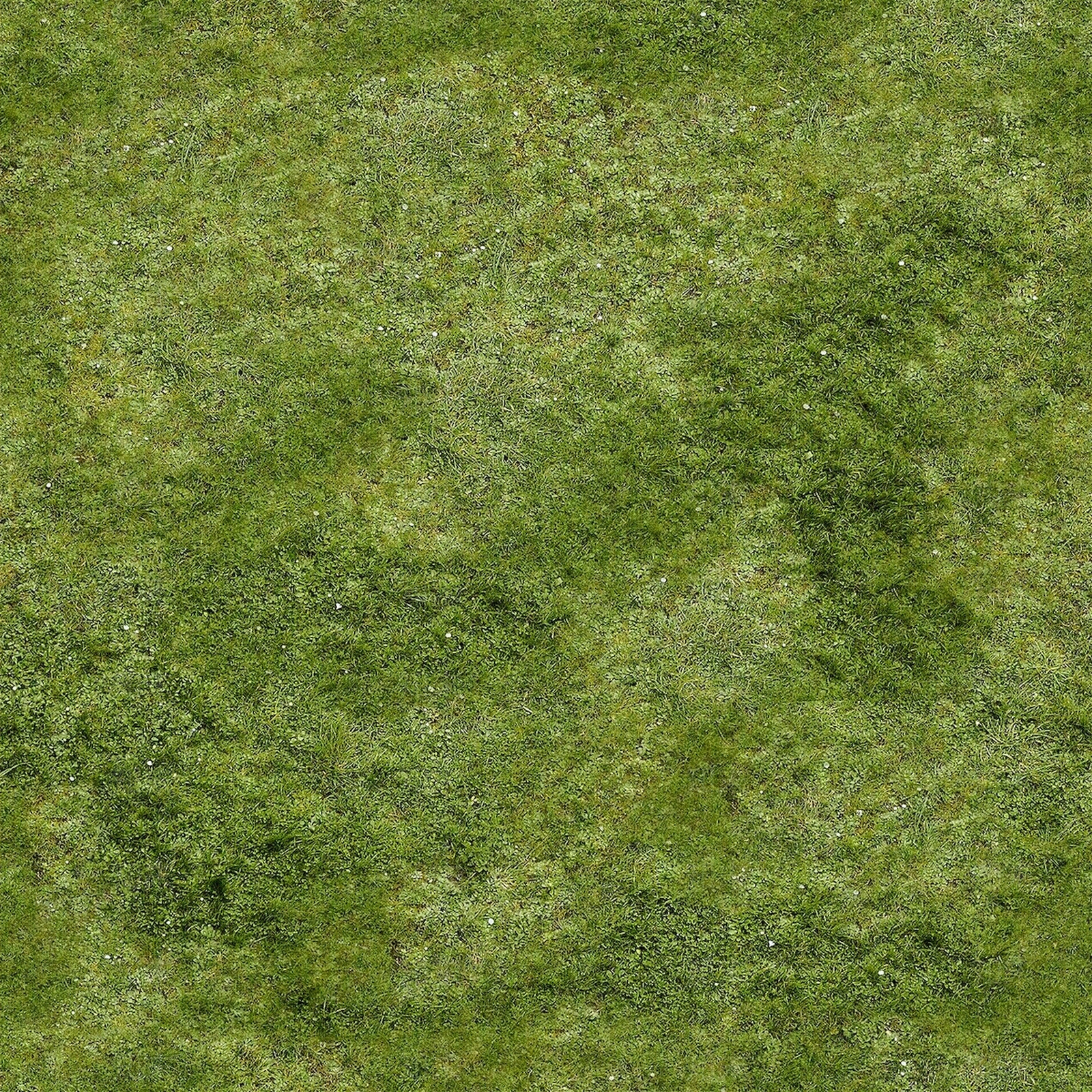 现代草地纹理贴图下载【ID:1198900021】