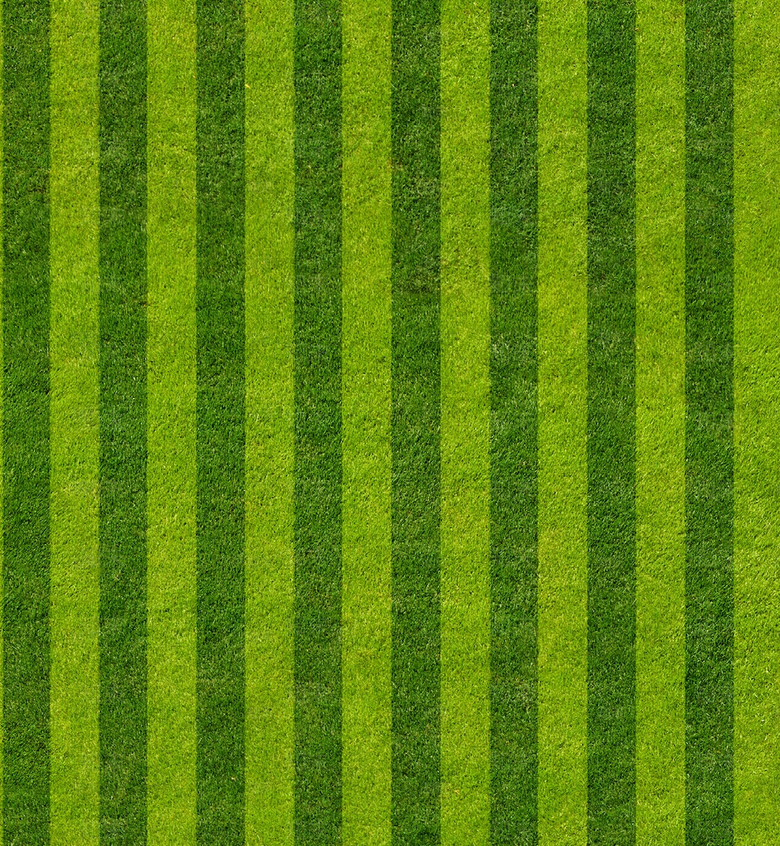 现代草地纹理贴图下载【ID:1198901185】