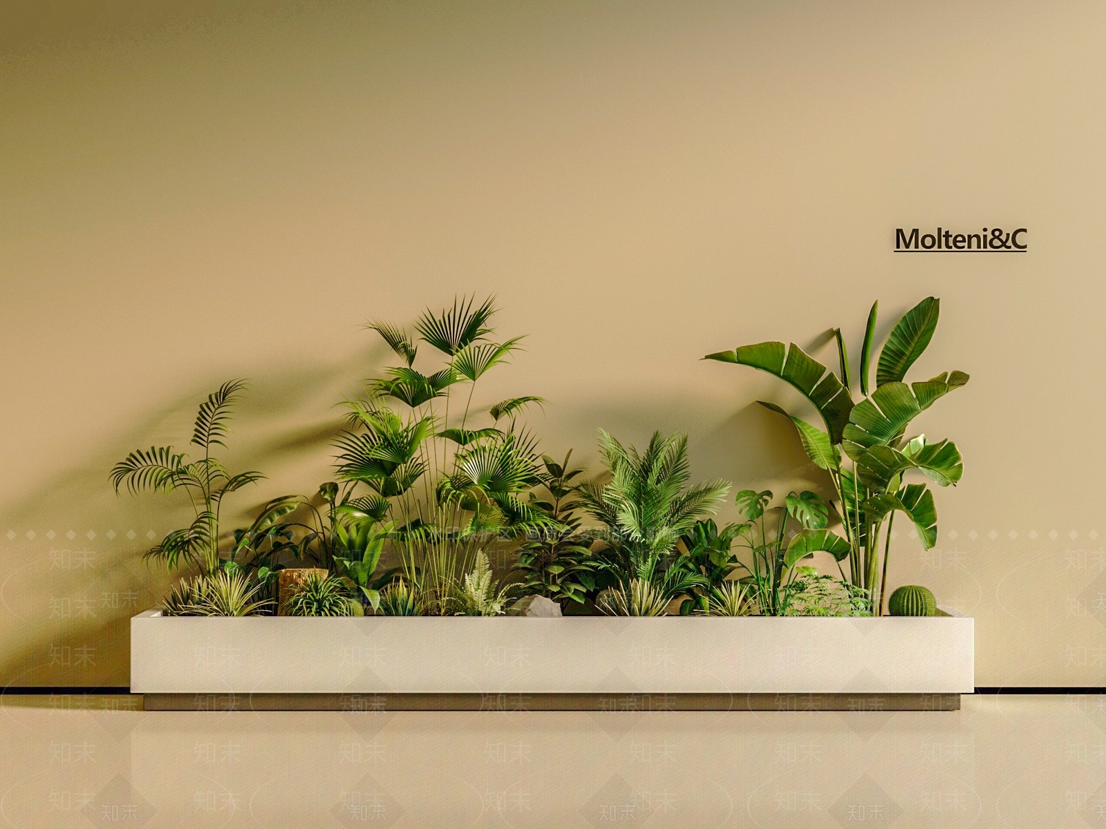 现代植物堆3D模型渲染效果图