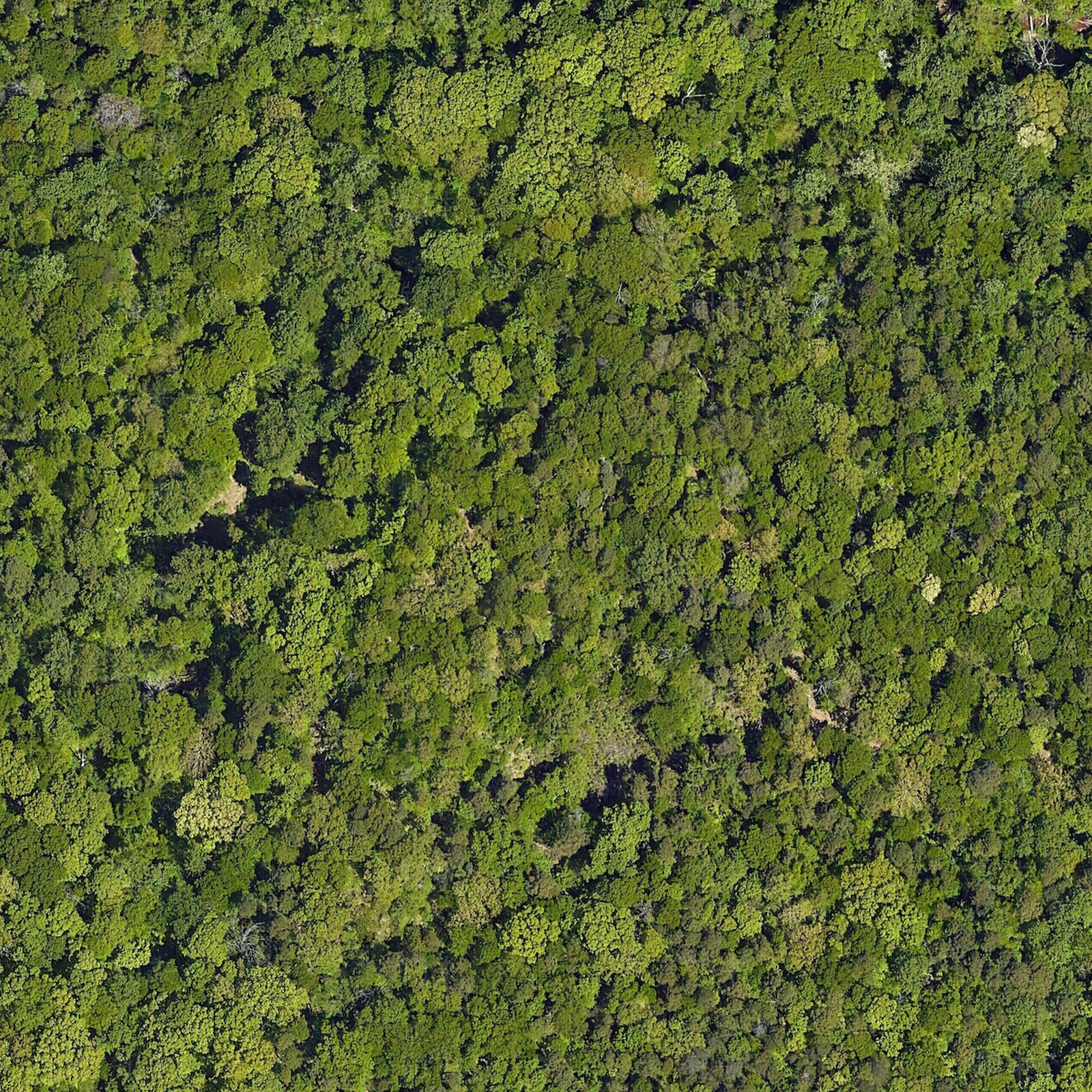 现代草地纹理贴图下载【ID:1198917352】
