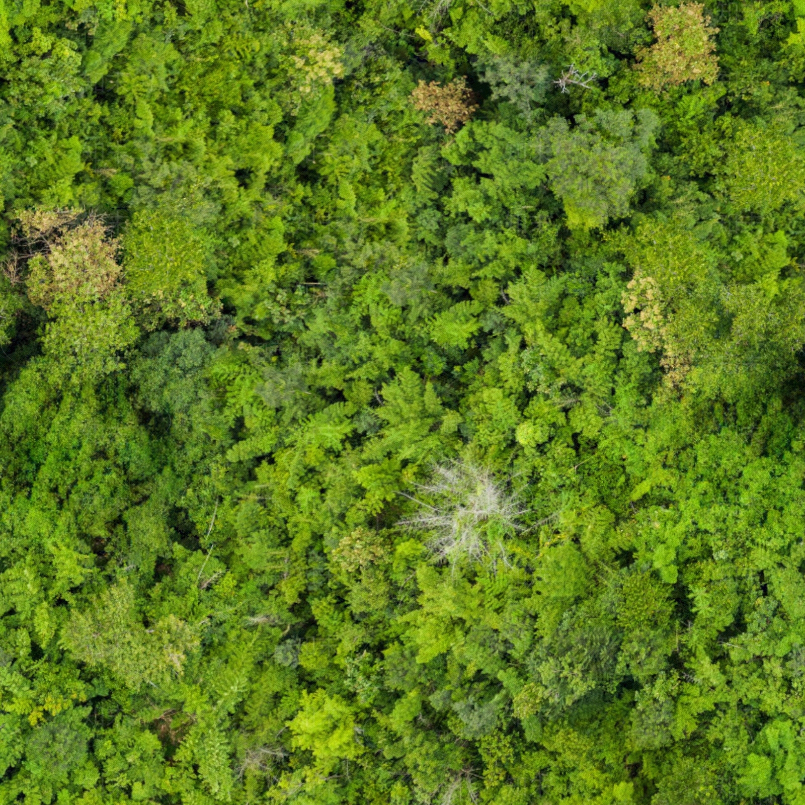 现代草地纹理贴图下载【ID:1198925562】