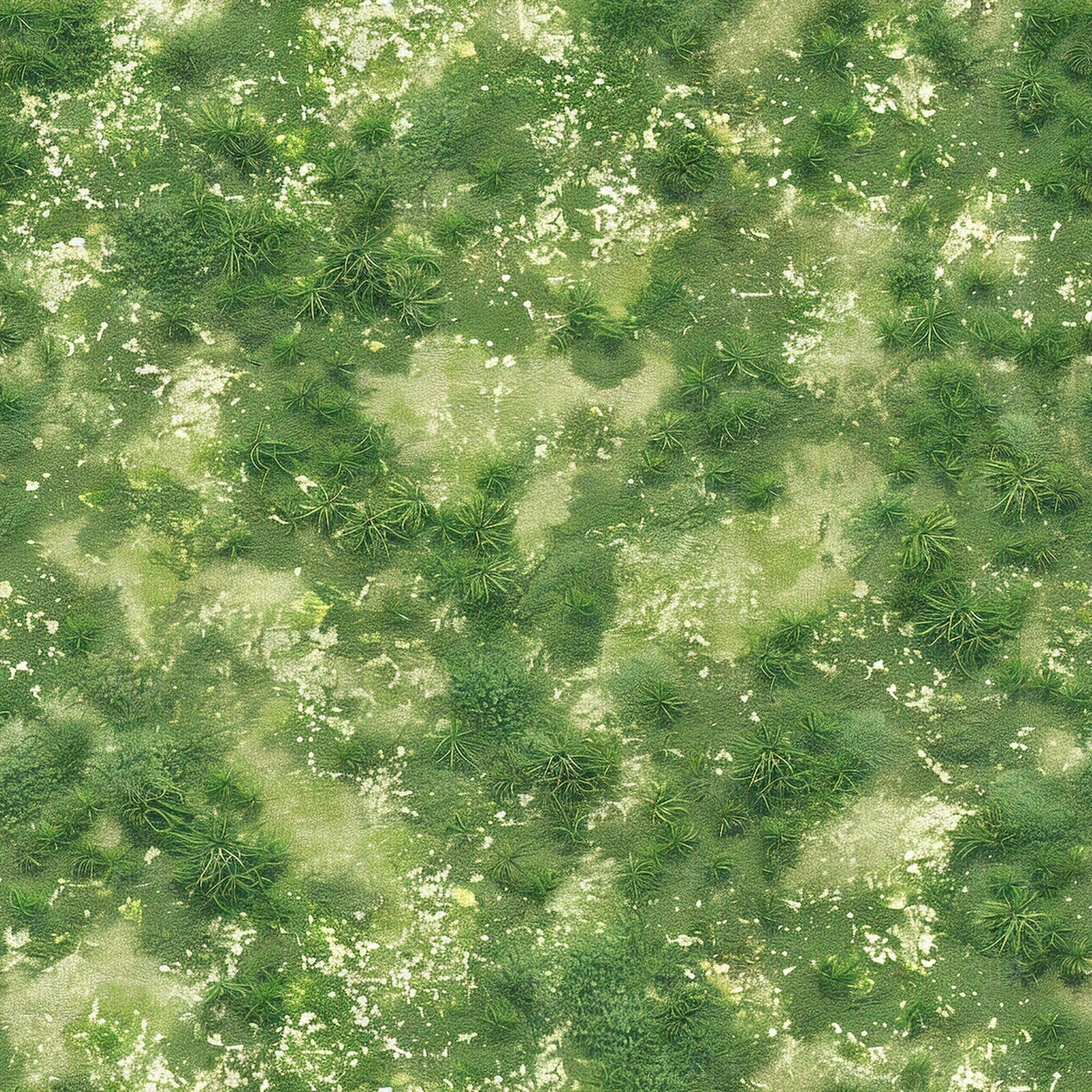 现代草地纹理贴图下载【ID:1198927296】