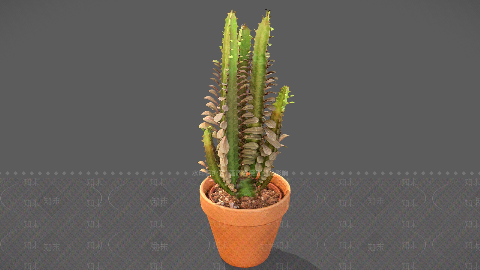 盆栽3D模型下载【ID:1198992235】