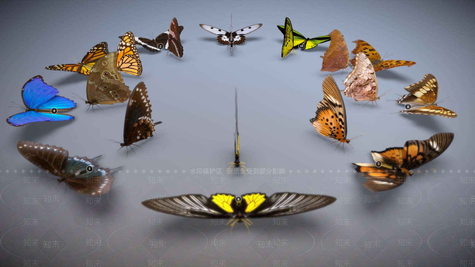 飞行类动物3D模型下载【ID:1198967108】