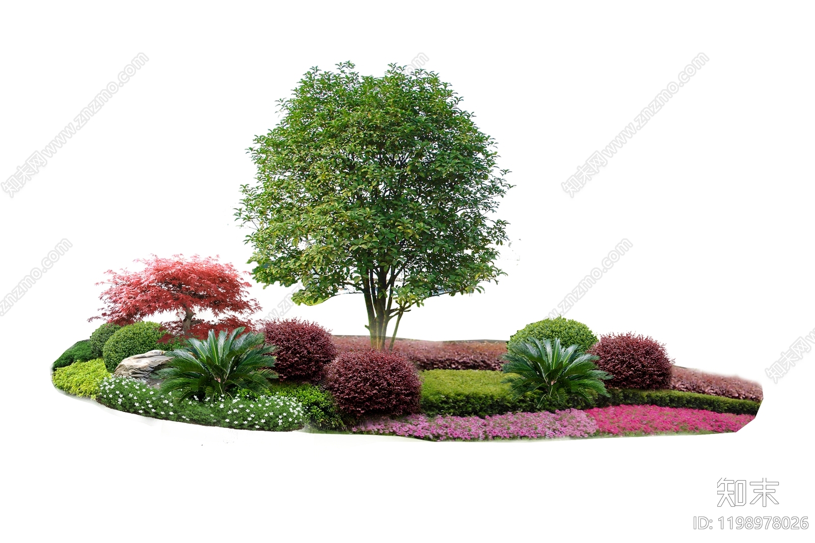 现代植物组团下载【ID:1198978026】