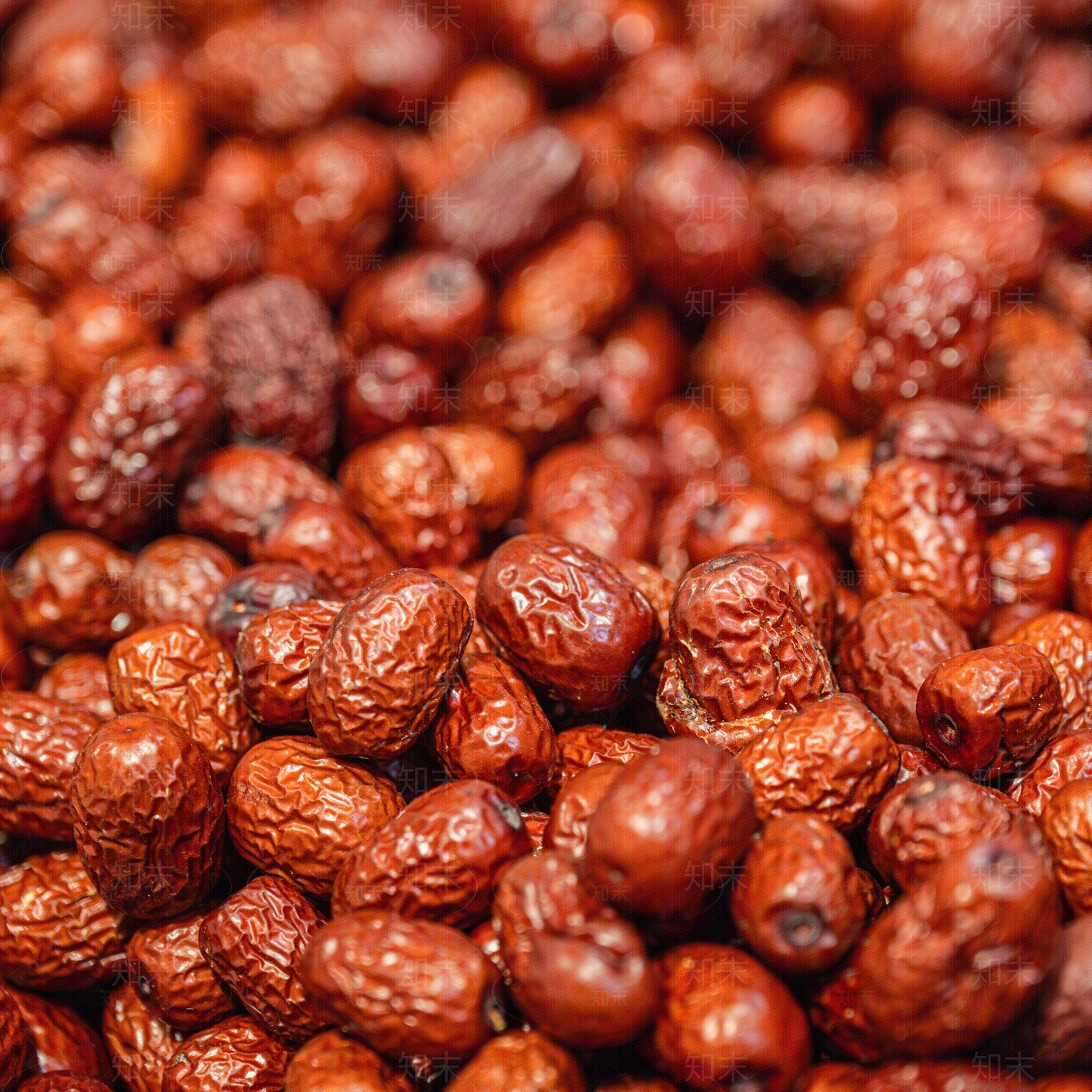 现代美食贴图下载【ID:1198994389】