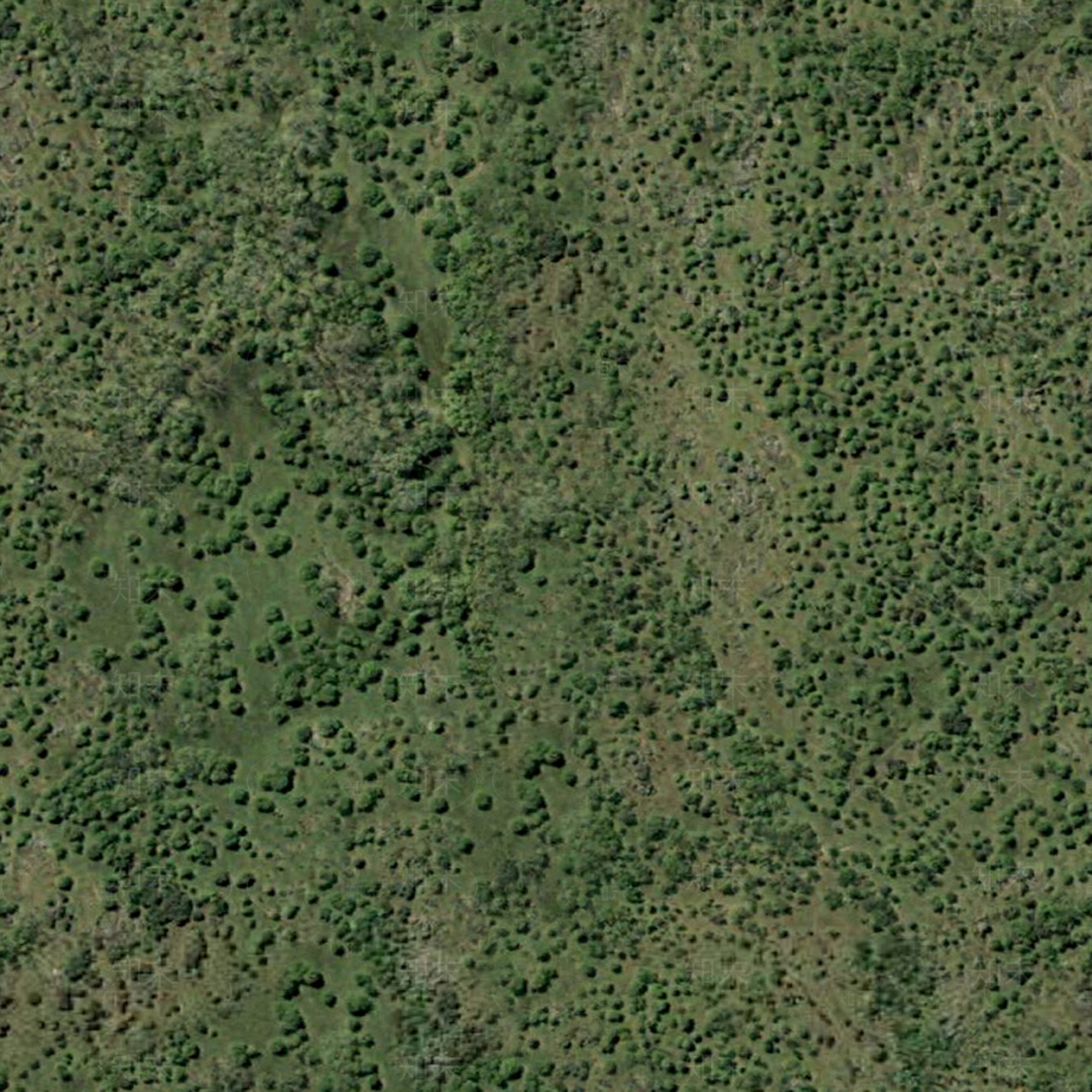 现代壤土表面贴图下载【ID:1198996424】