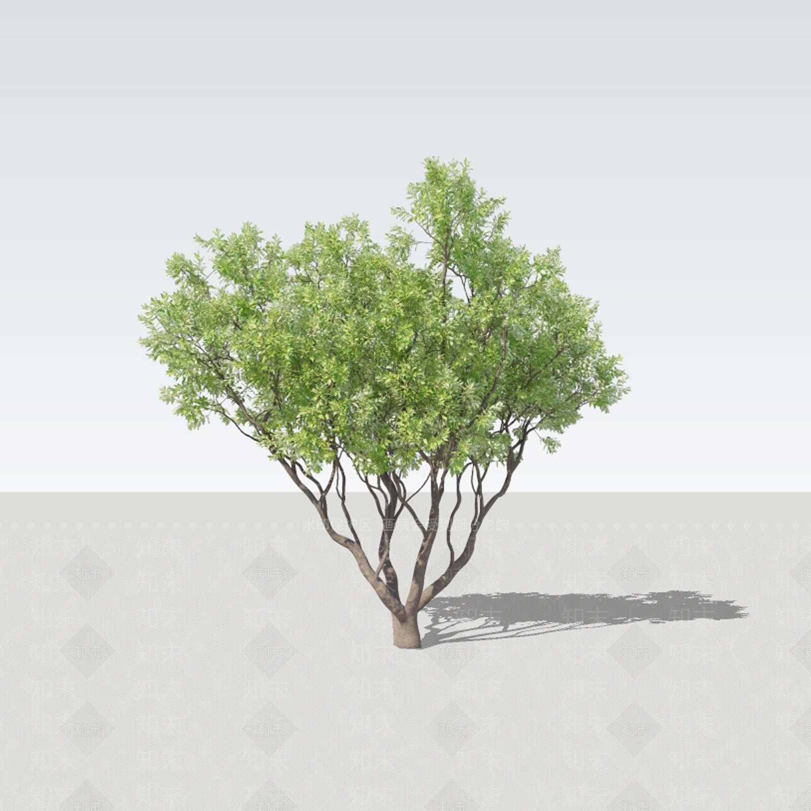 乔木SU模型下载【ID:1199008254】