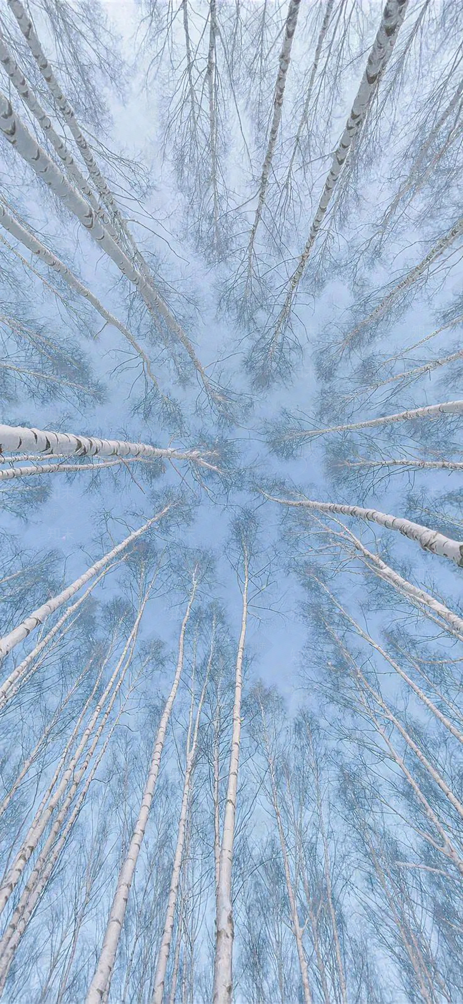 现代其他风景贴图下载【ID:1199017553】