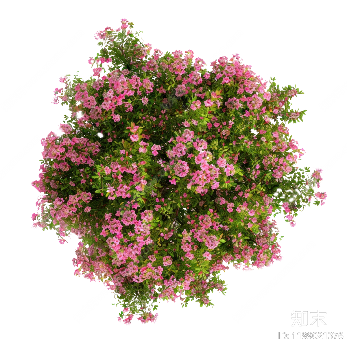 现代其他花草下载【ID:1199021376】