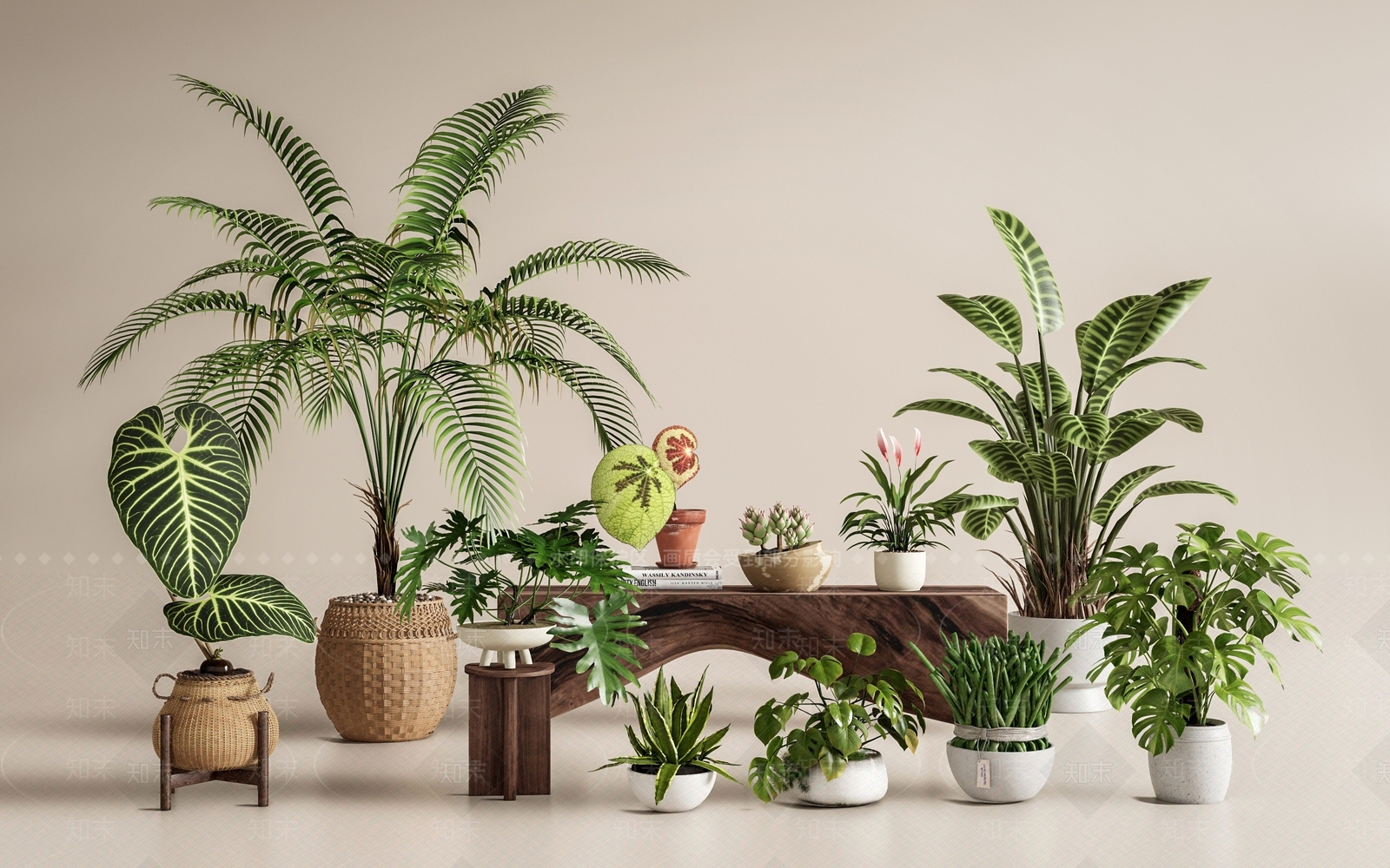 盆栽SU模型下载【ID:1199021544】