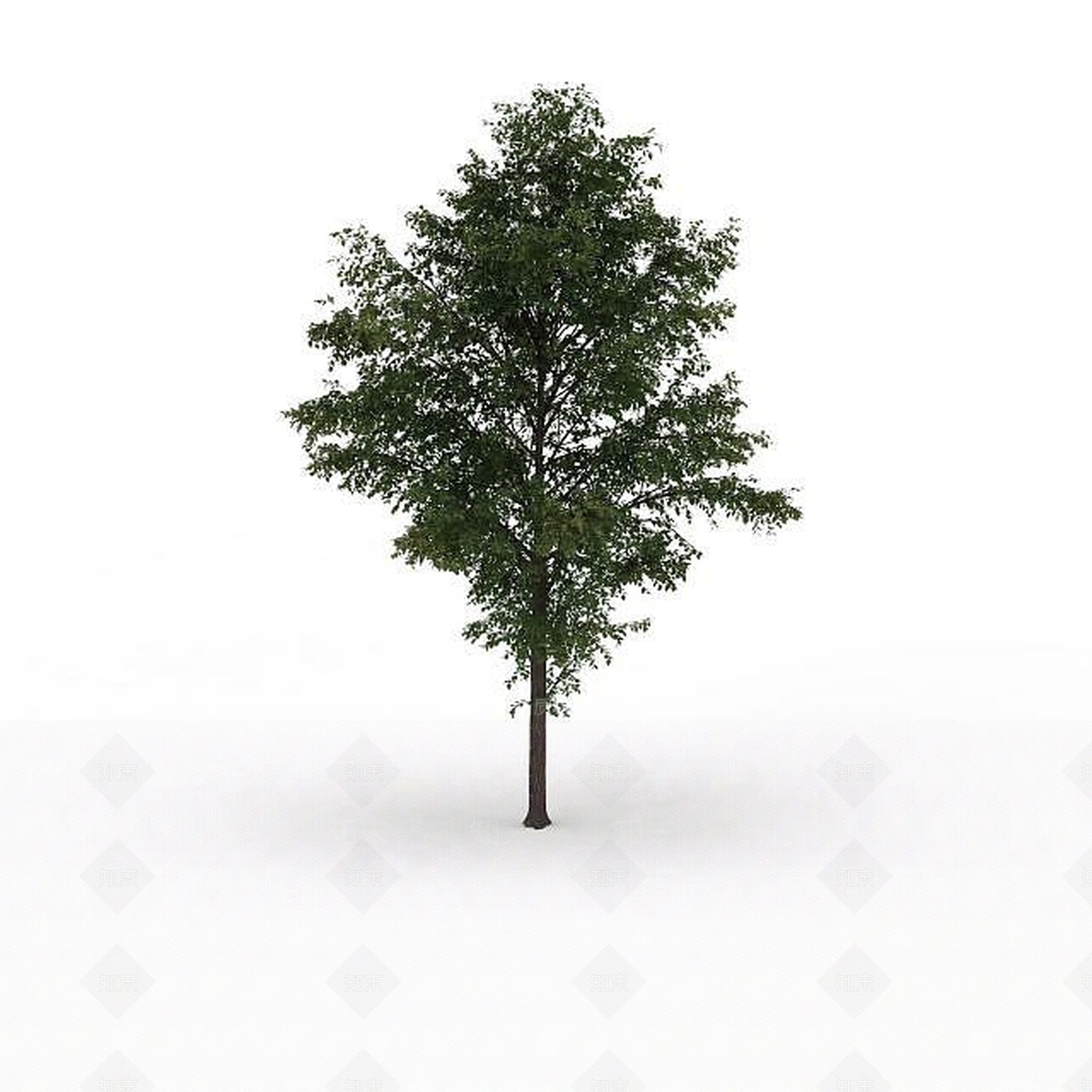 现代绿色景观树3D模型下载【ID:1199024187】