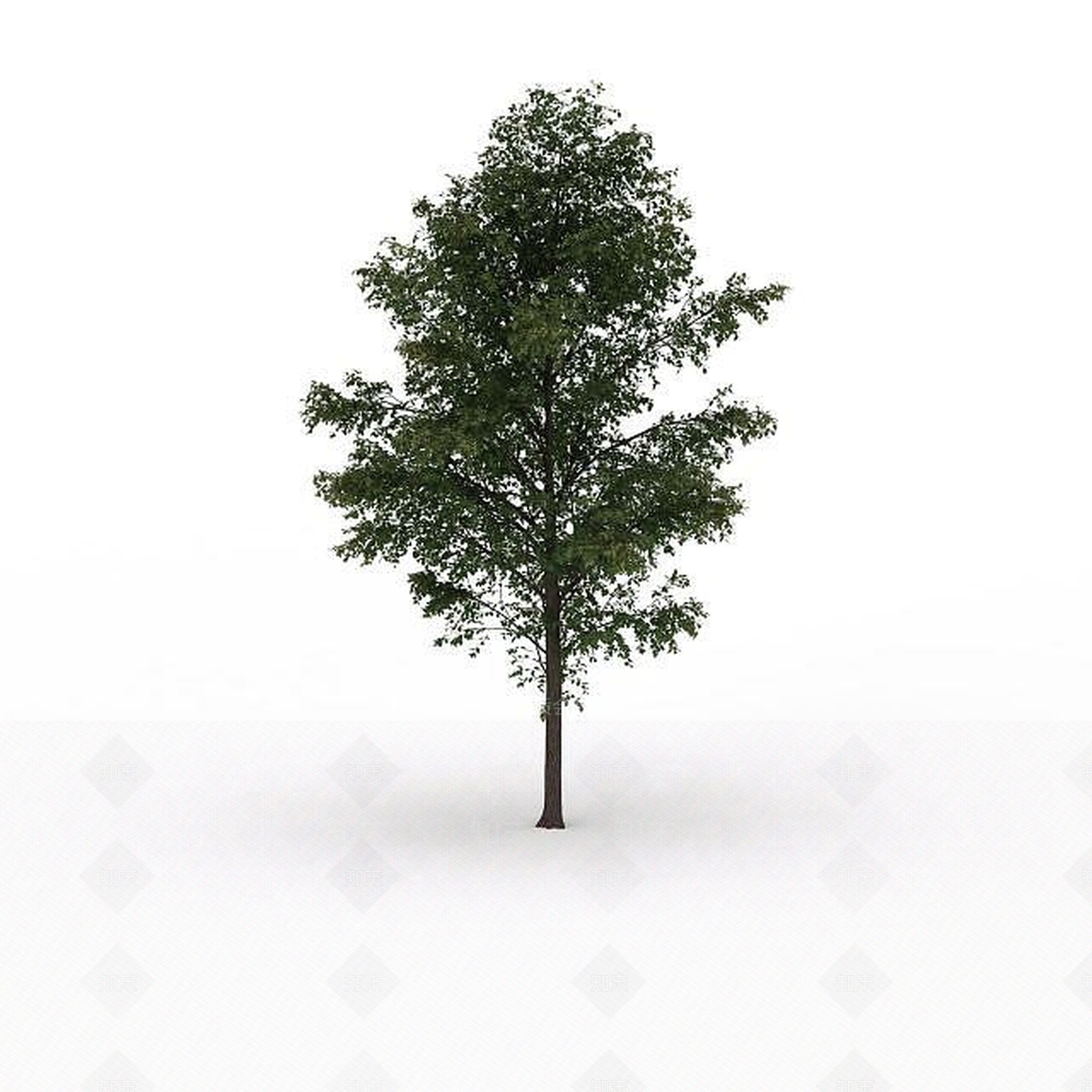 现代绿色景观树3D模型下载【ID:1199024187】