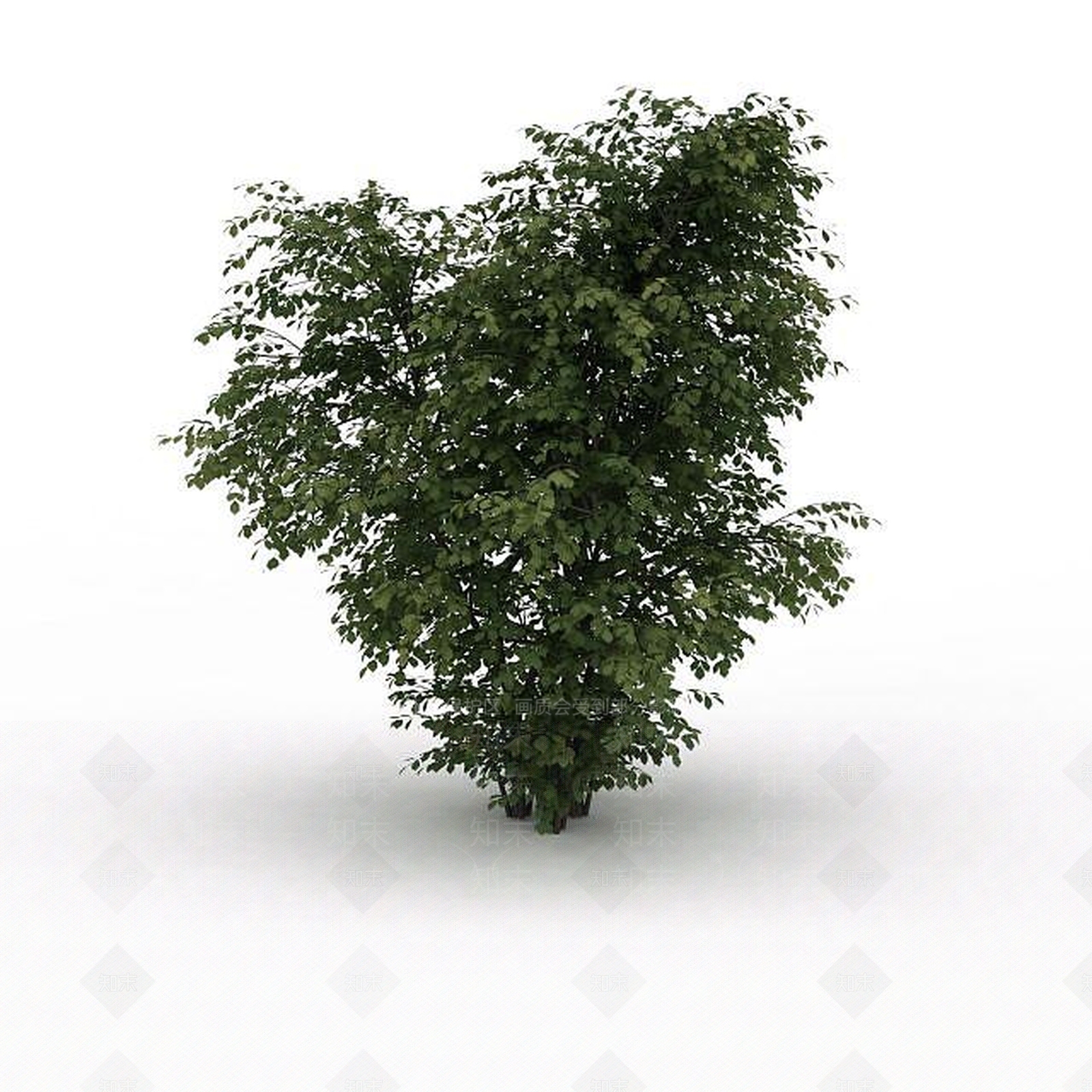 现代茂盛景观树3D模型下载【ID:1199024452】
