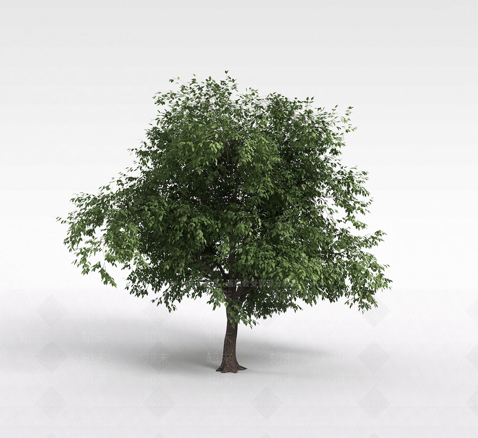 现代公园绿化植被3D模型下载【ID:1199024767】