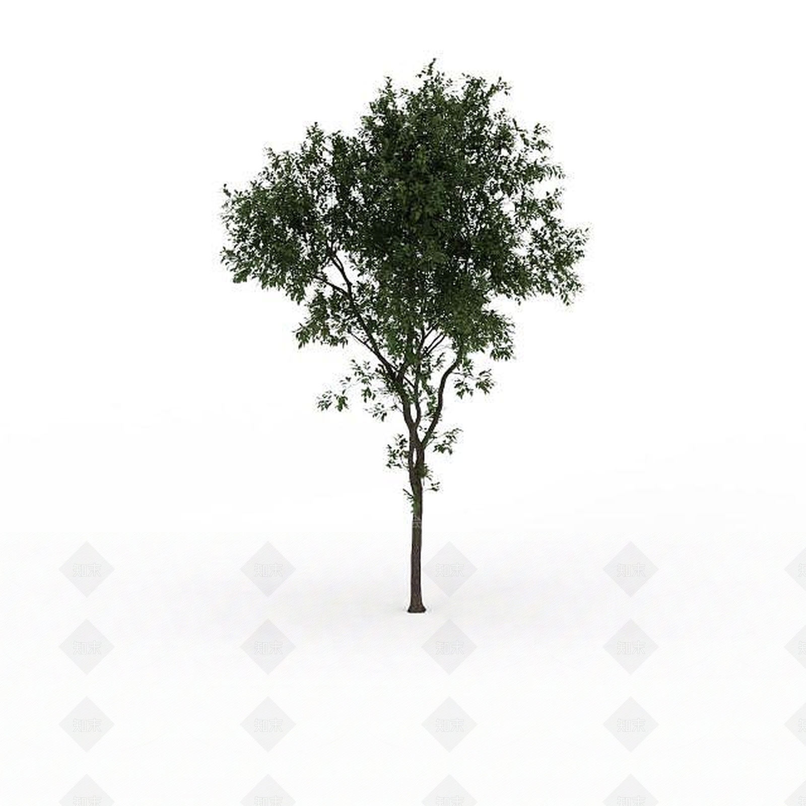 现代园林景观树3D模型下载【ID:1199025061】