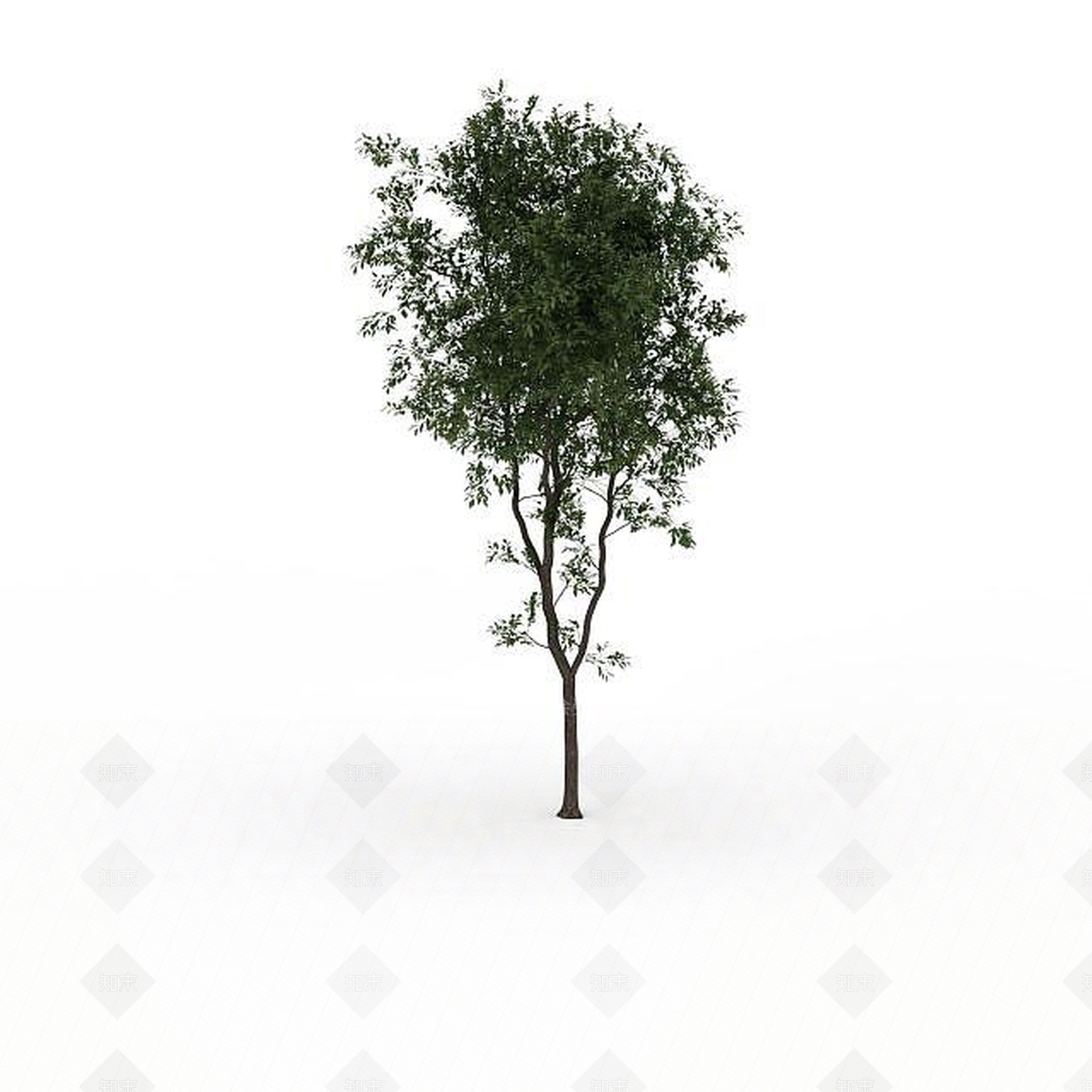 现代园林景观树3D模型下载【ID:1199025061】