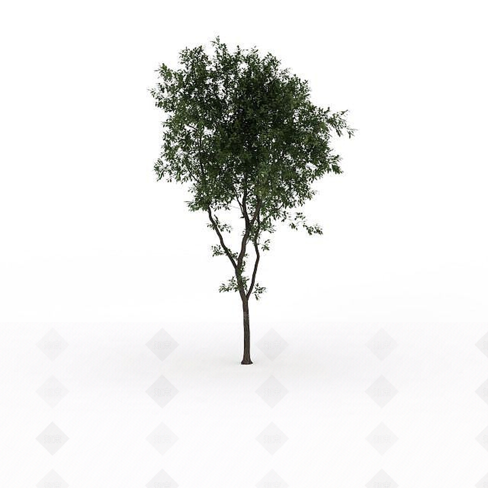 现代园林景观树3D模型下载【ID:1199025061】