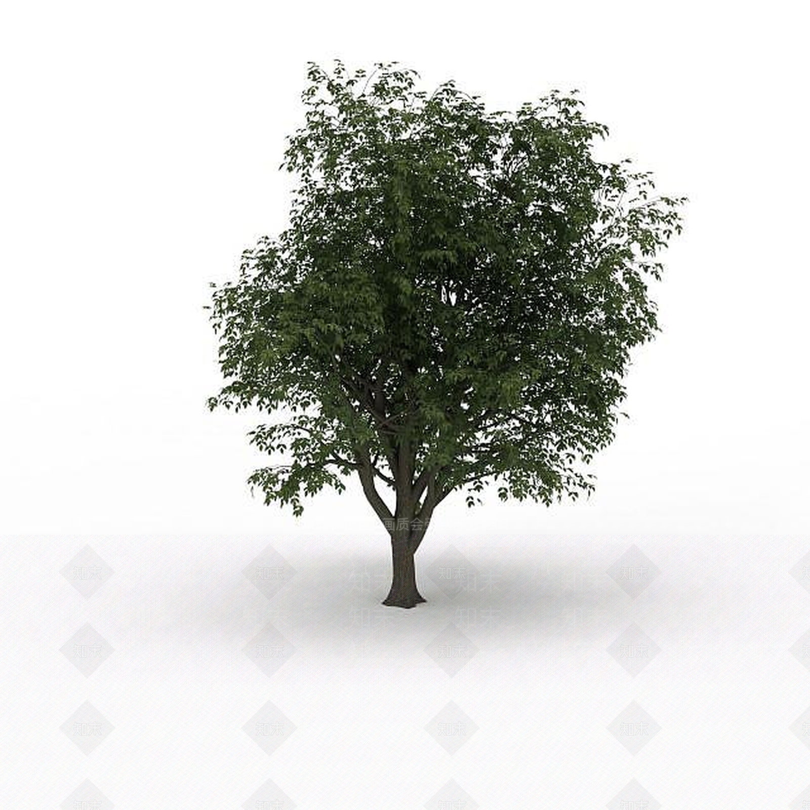 现代落叶景观树3D模型下载【ID:1199025935】