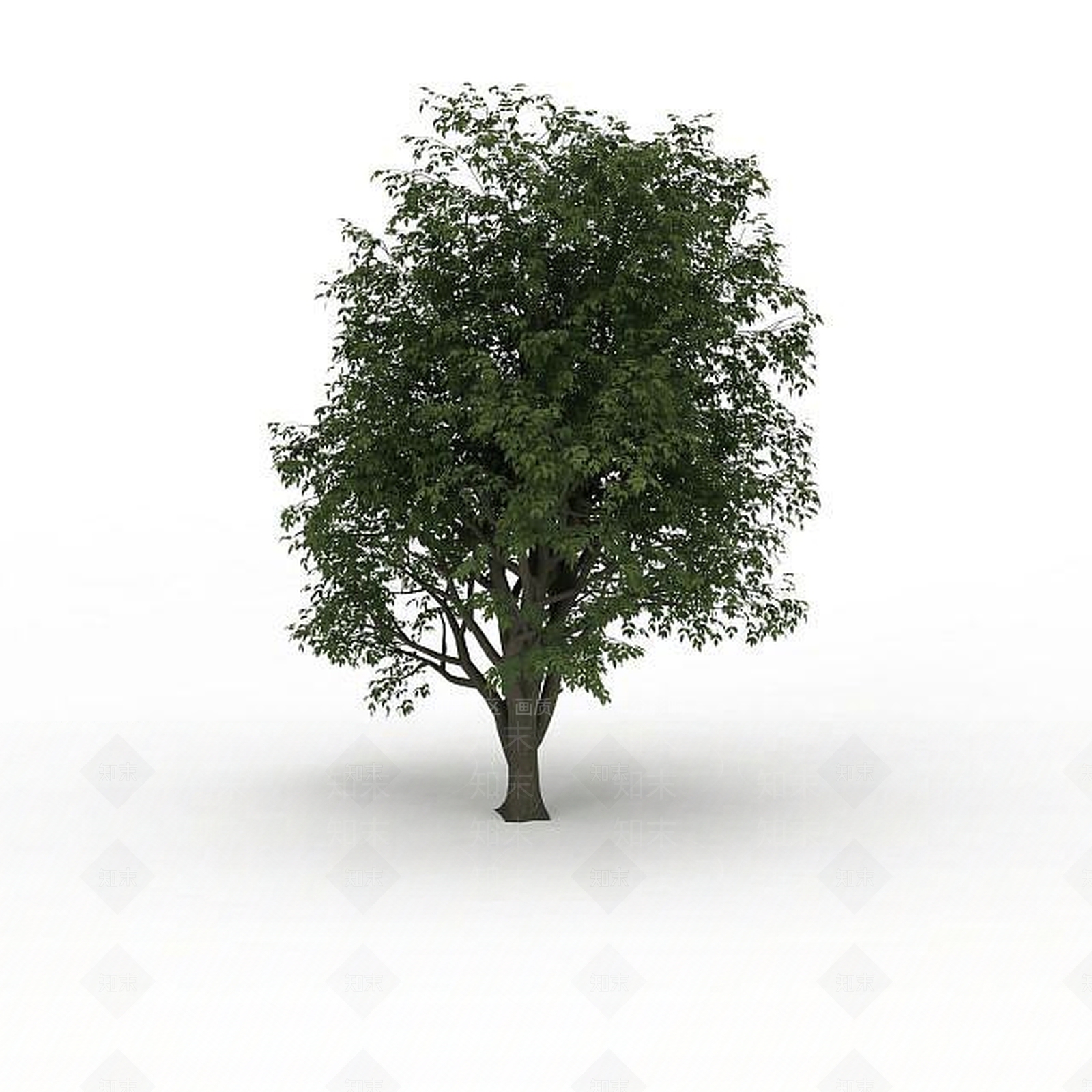 现代落叶景观树3D模型下载【ID:1199025935】