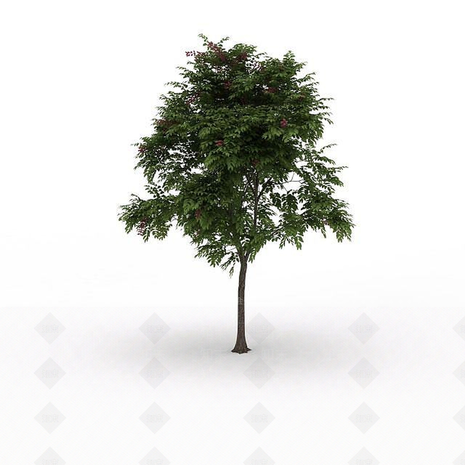 现代落叶景观树3D模型下载【ID:1199026640】