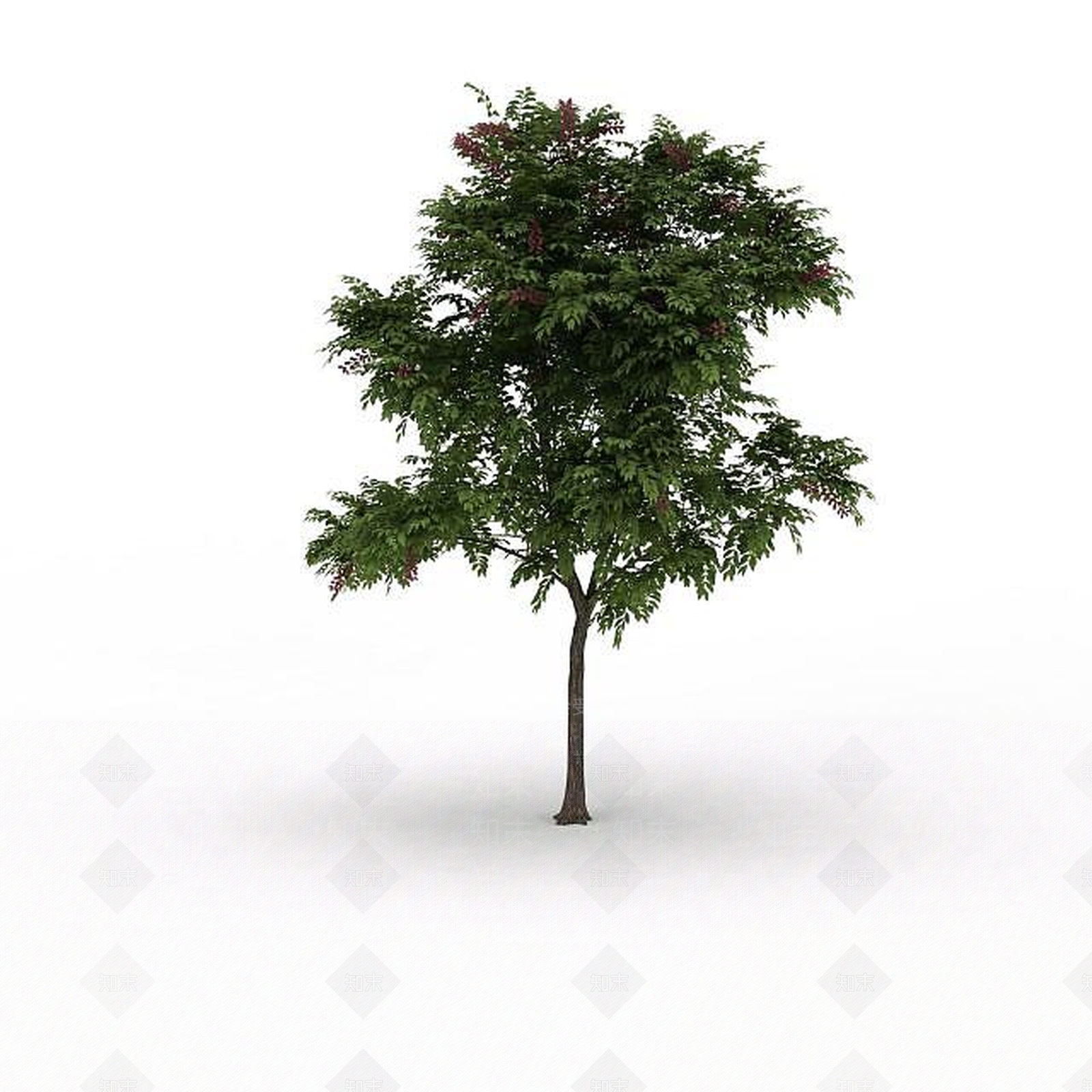 现代落叶景观树3D模型下载【ID:1199026640】
