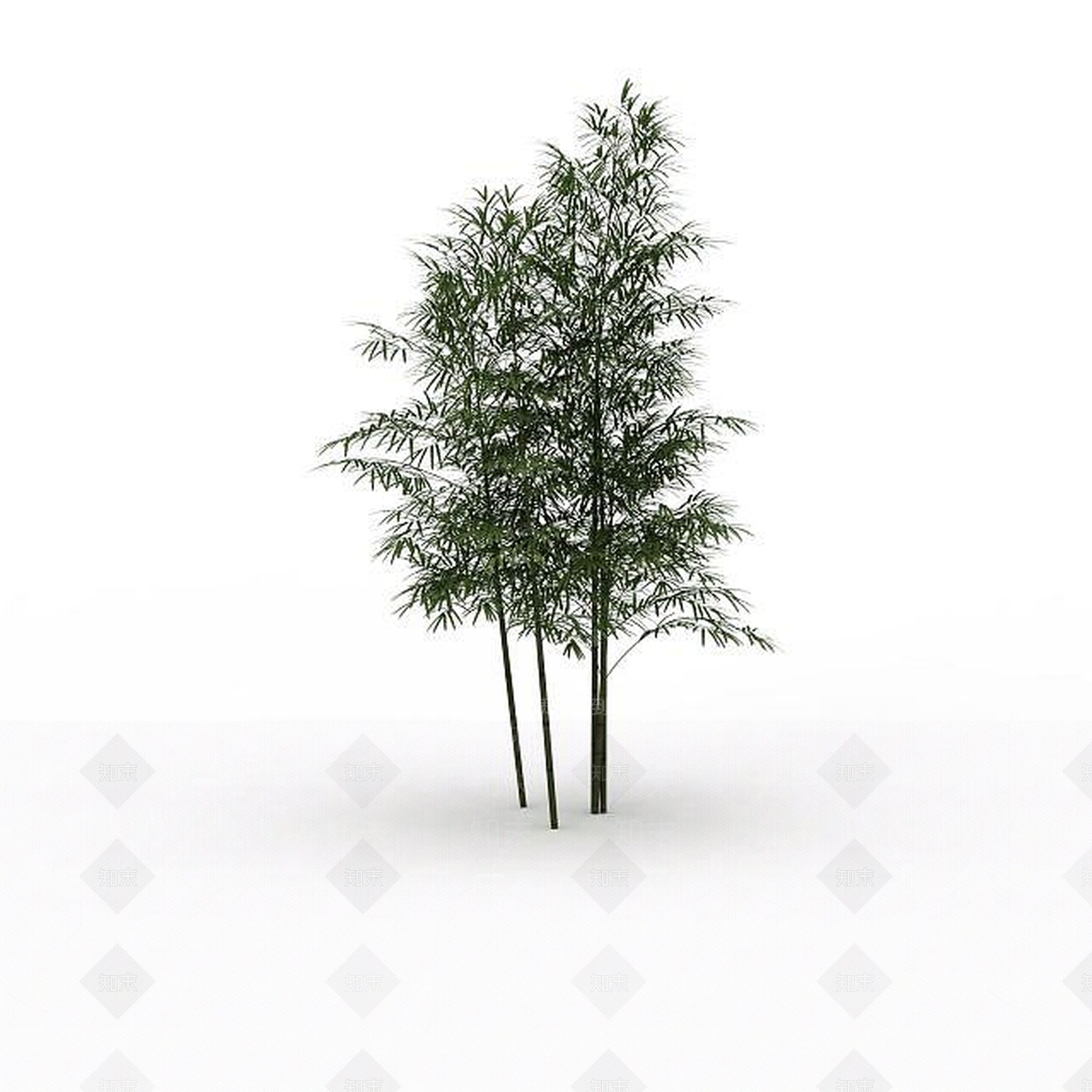 现代公园竹子3D模型下载【ID:1199028343】