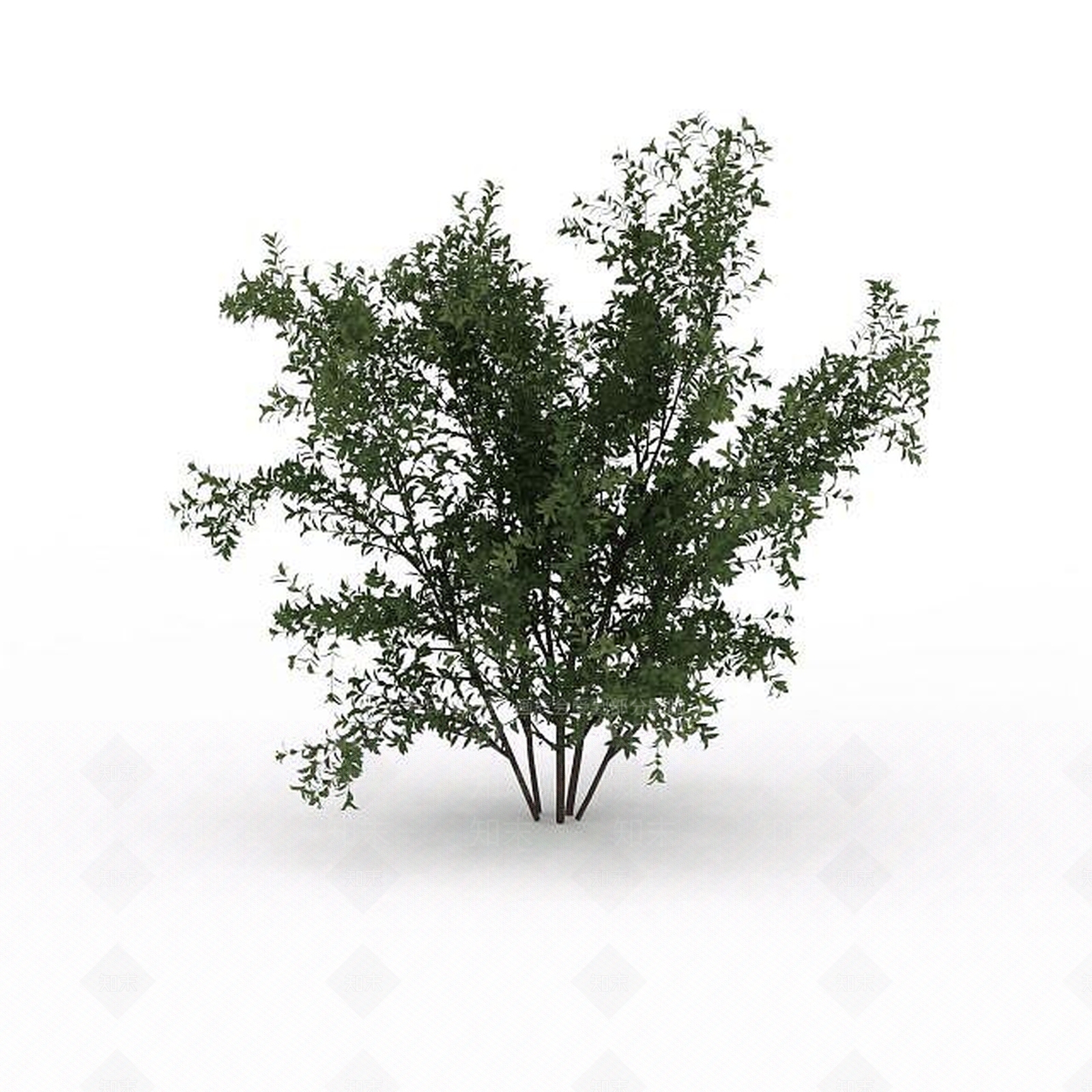 现代绿叶景观树3D模型下载【ID:1199028445】
