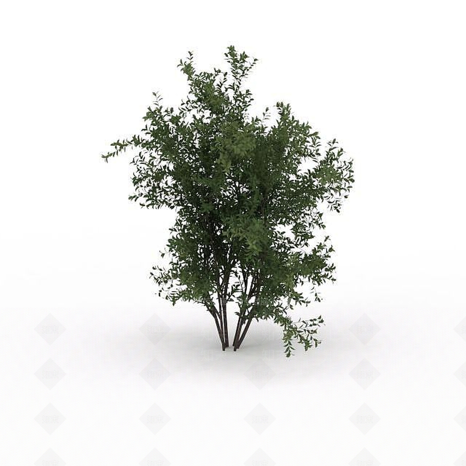 现代绿叶景观树3D模型下载【ID:1199028445】