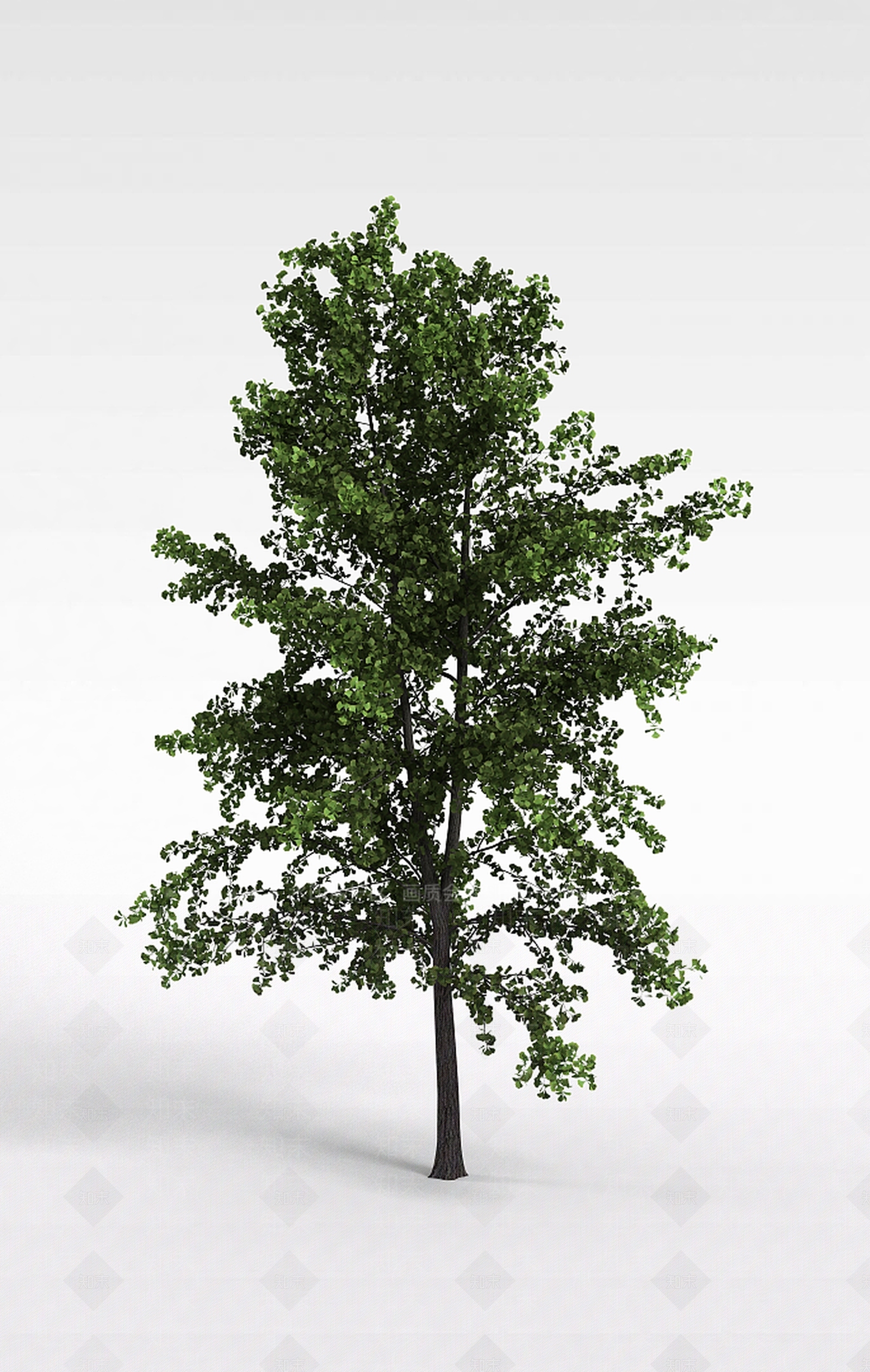 现代景观植被3D模型下载【ID:1199029000】