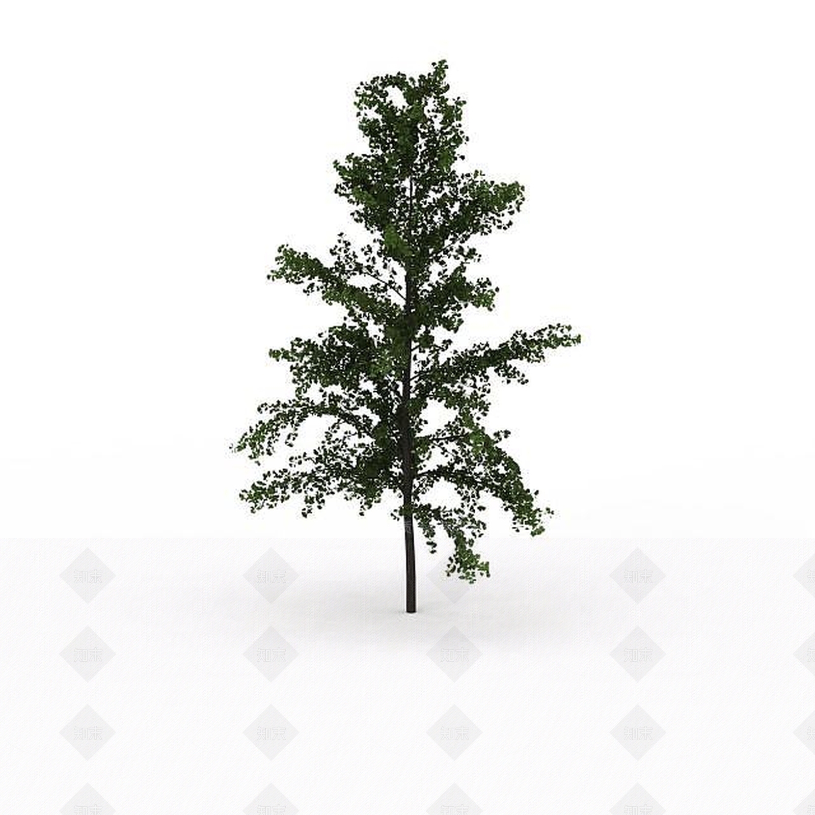 现代道路绿化植被3D模型下载【ID:1199029344】