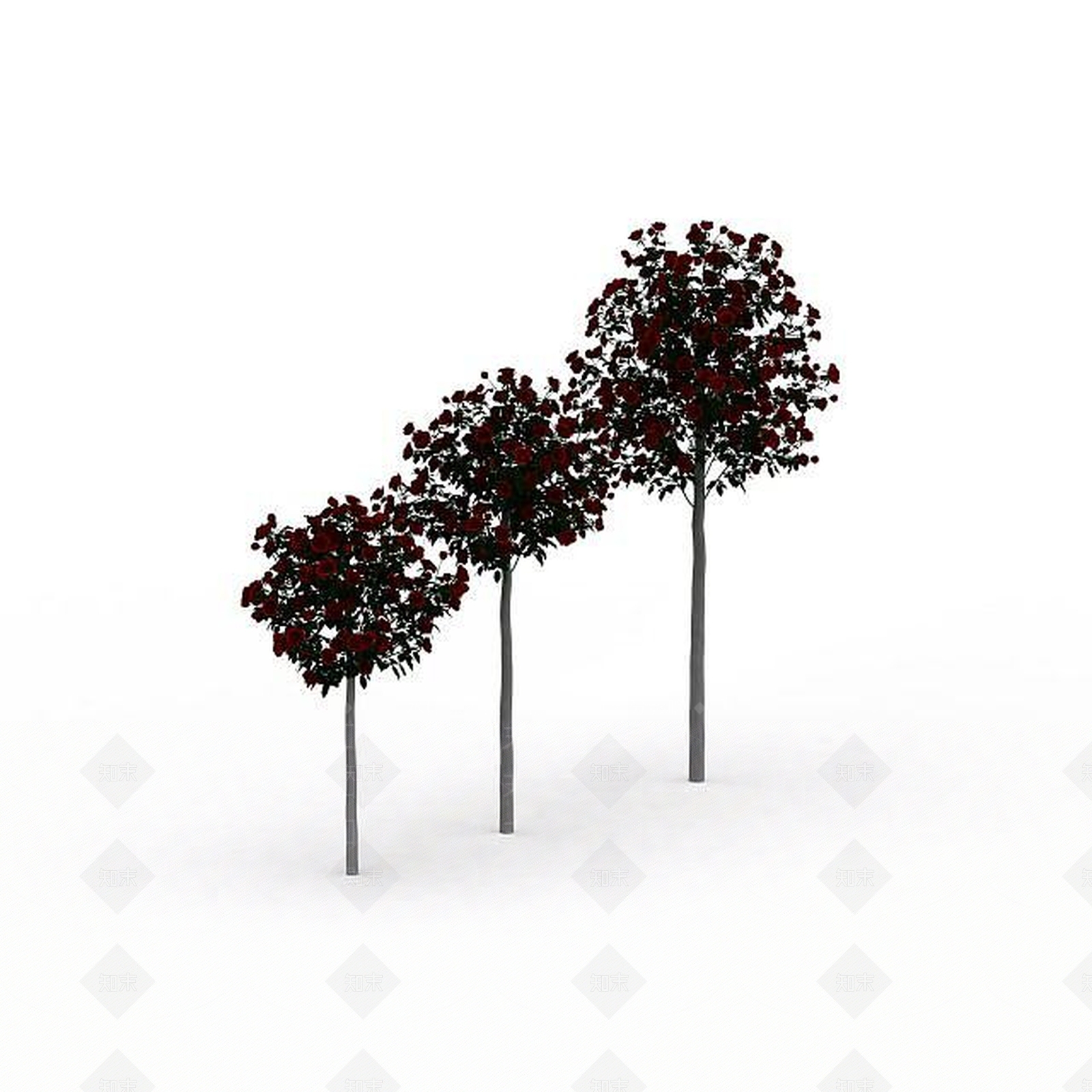 现代景观树3D模型下载【ID:1199033962】