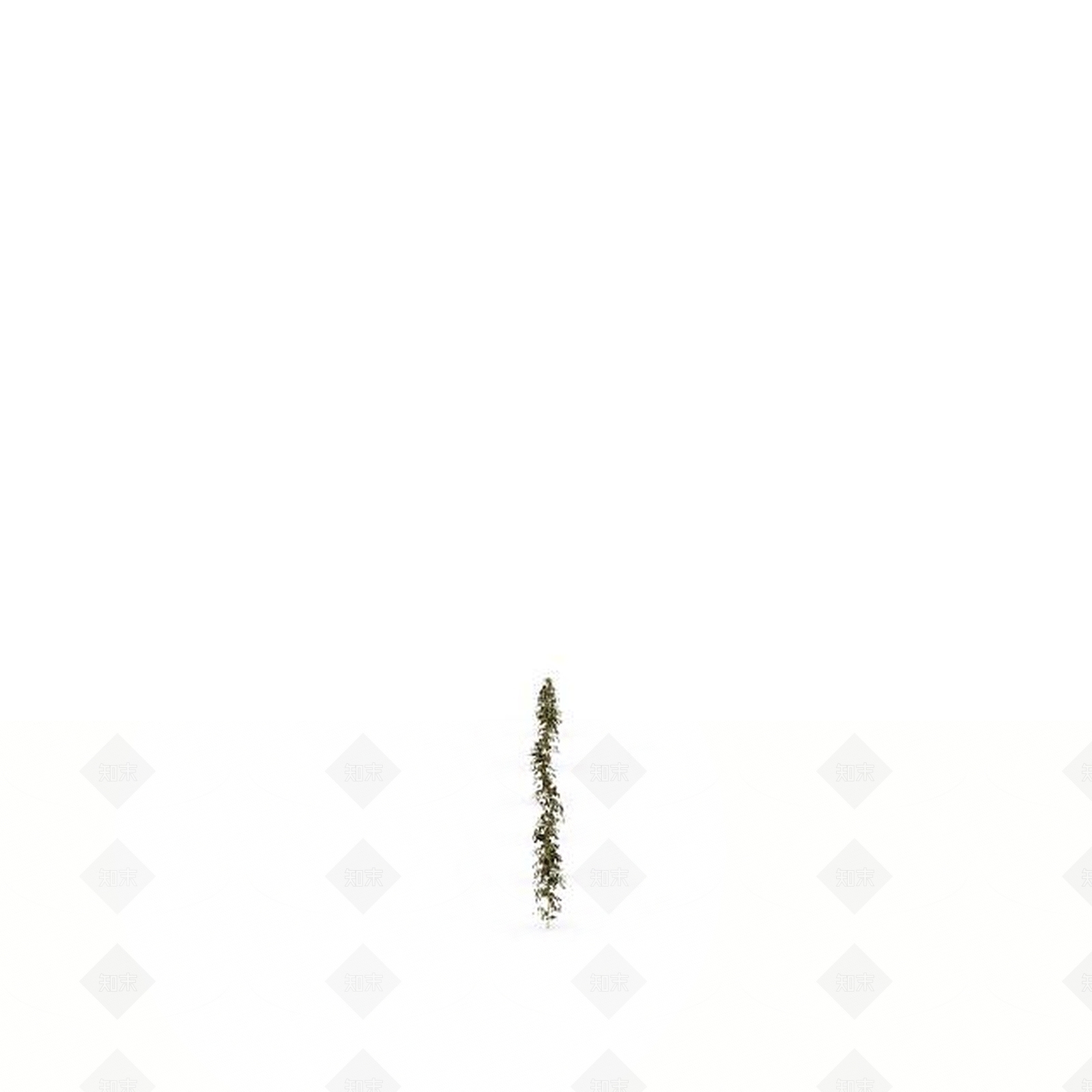 现代园林小草3D模型下载【ID:1199033984】