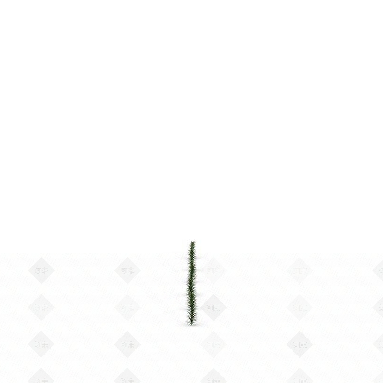 现代蕨叶小草3D模型下载【ID:1199033908】