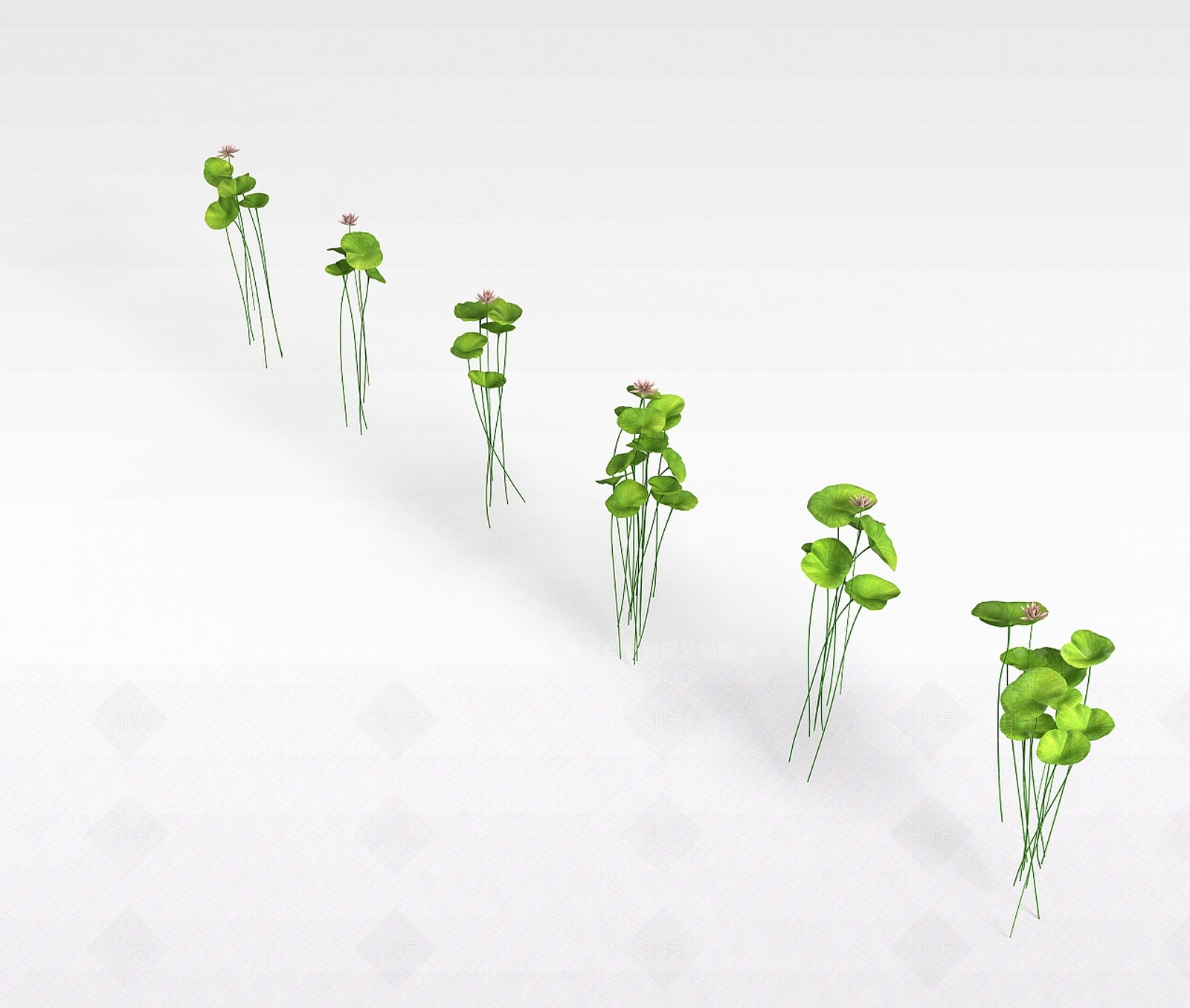 现代铜钱草3D模型下载【ID:1199035332】