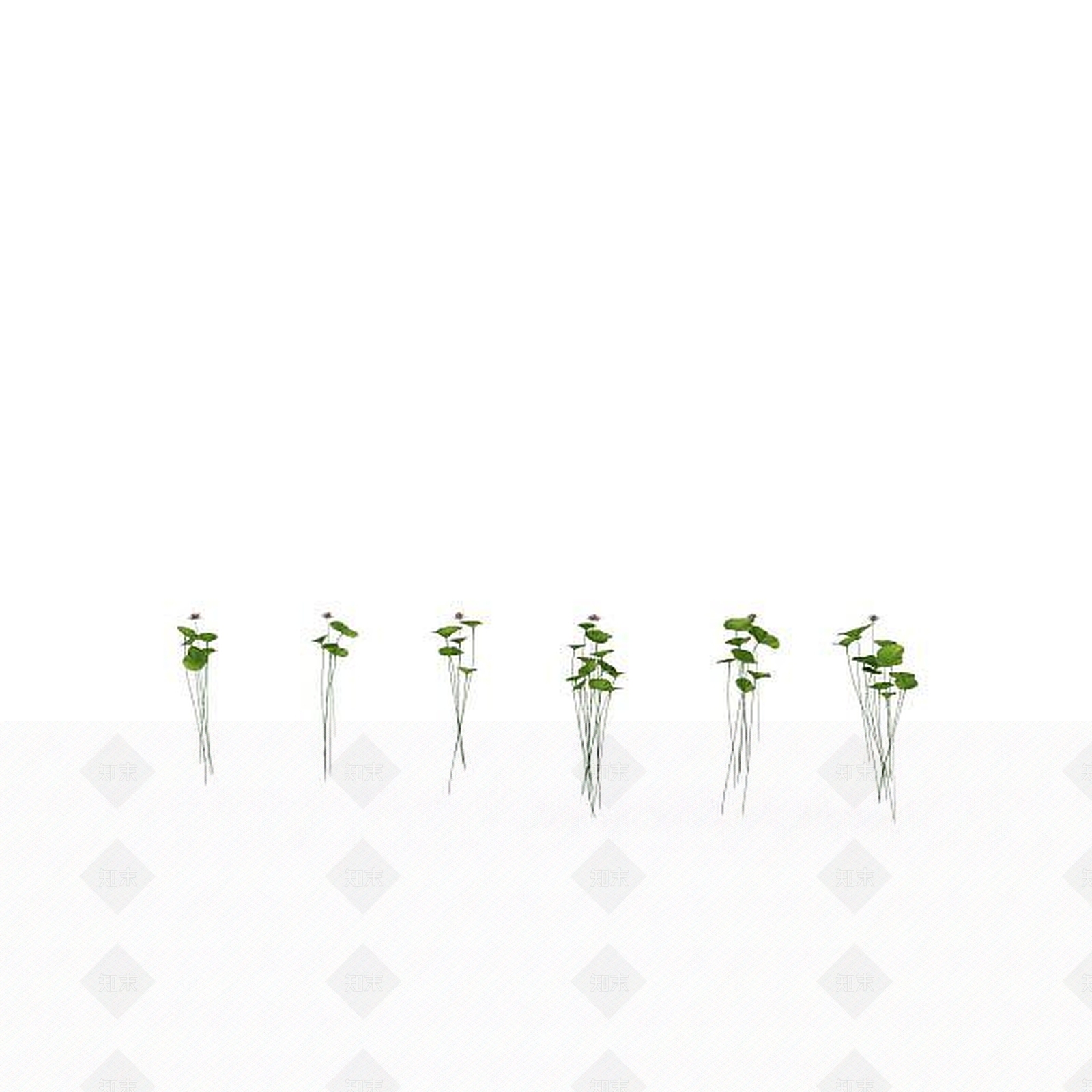 现代铜钱草3D模型下载【ID:1199035332】