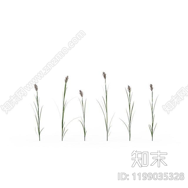 芦苇草3D模型下载【ID:1199035328】