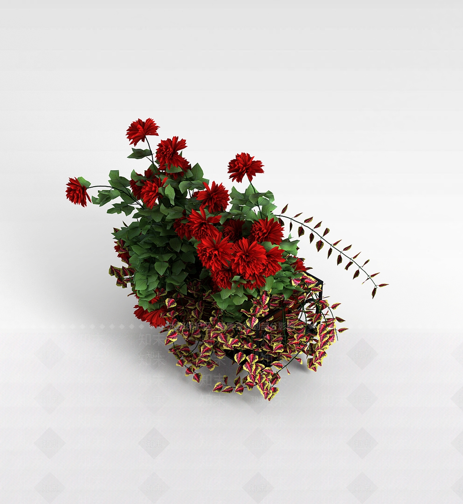 现代月季花3D模型下载【ID:1199035485】