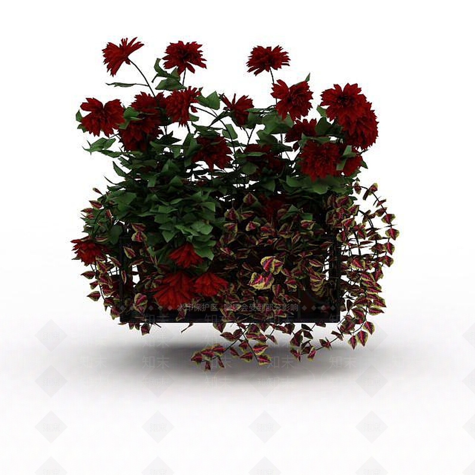 现代月季花3D模型下载【ID:1199035485】