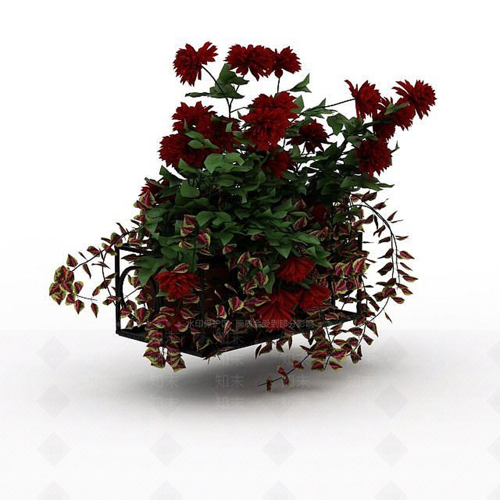 现代月季花3D模型下载【ID:1199035485】