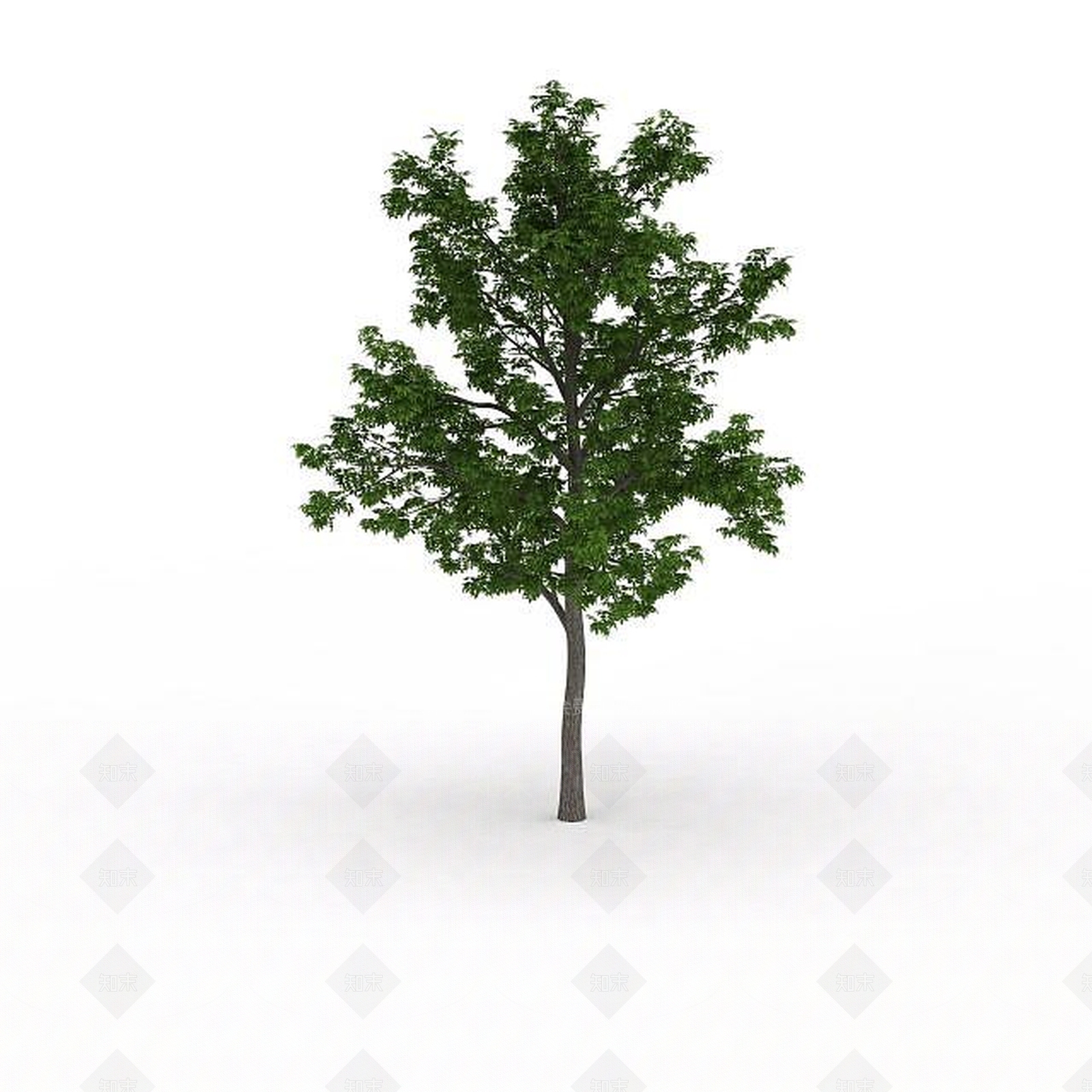 现代室外绿树3D模型下载【ID:1199036517】