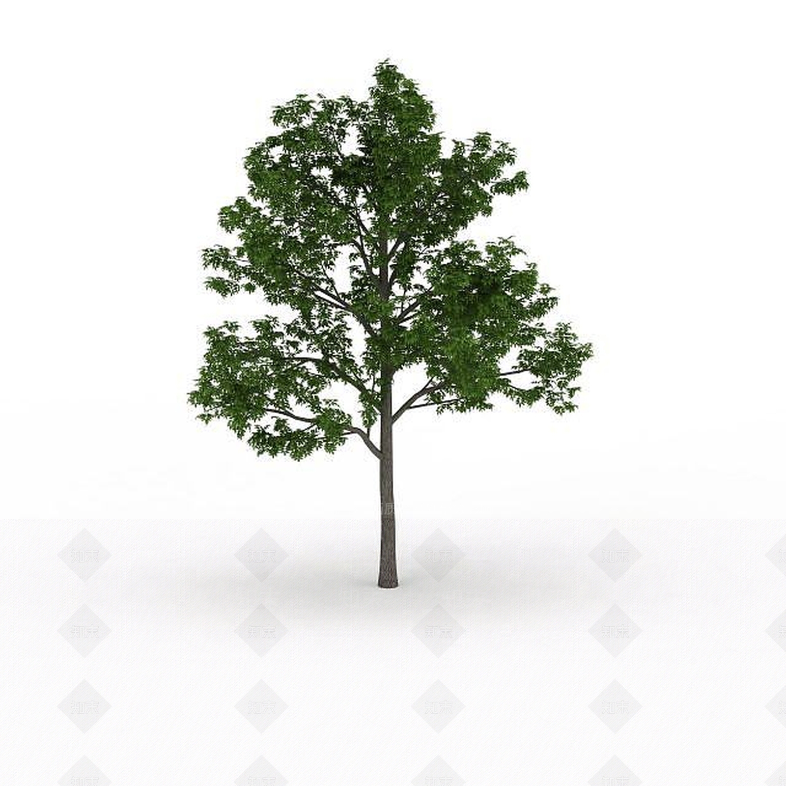 现代室外绿树3D模型下载【ID:1199036517】
