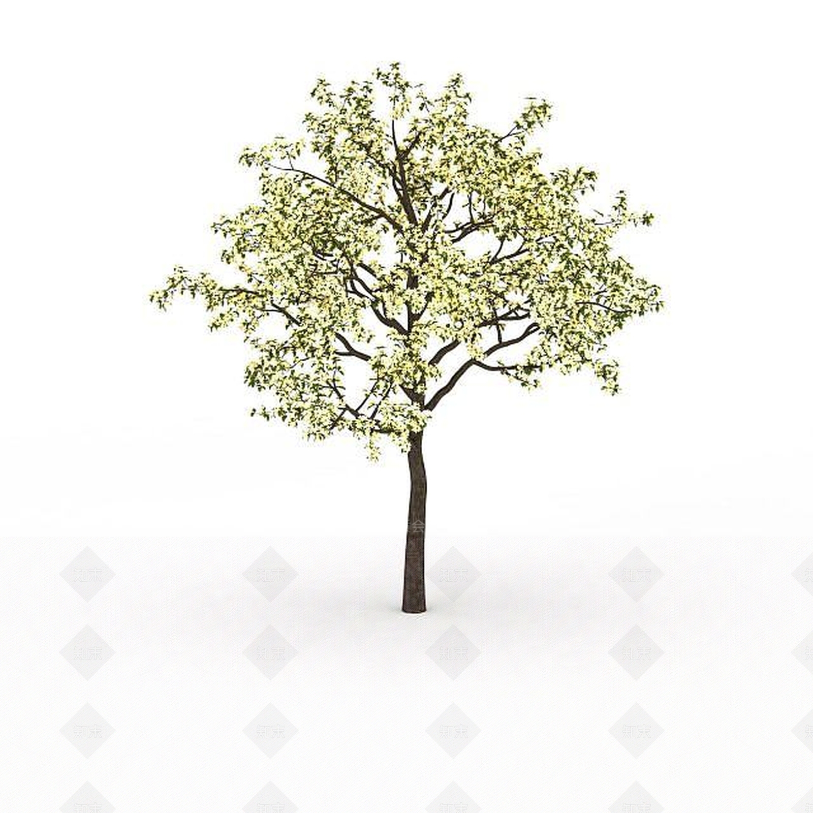 现代室外装饰树3D模型下载【ID:1199036682】