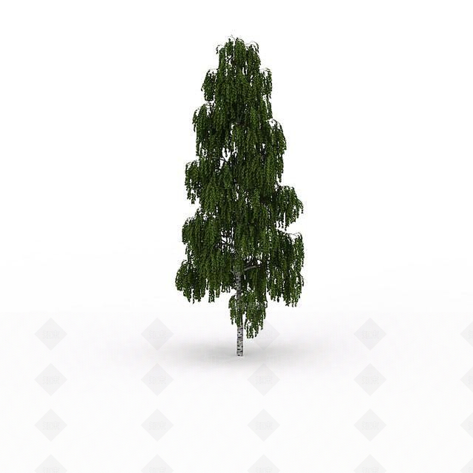 现代室外景观树3D模型下载【ID:1199036654】